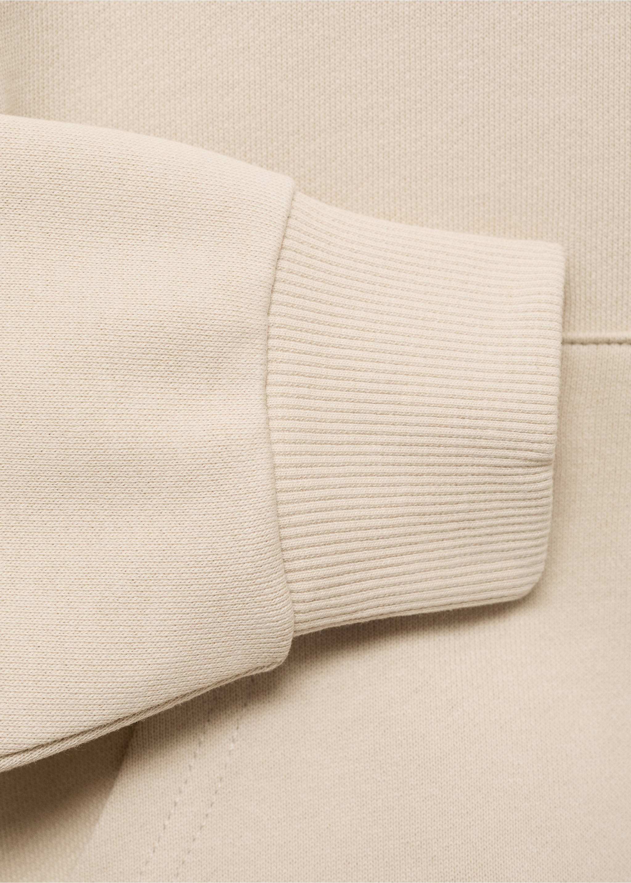 Printed embroidered sweatshirt - Details of the article 0, Sand. Ref: 17003299-00.