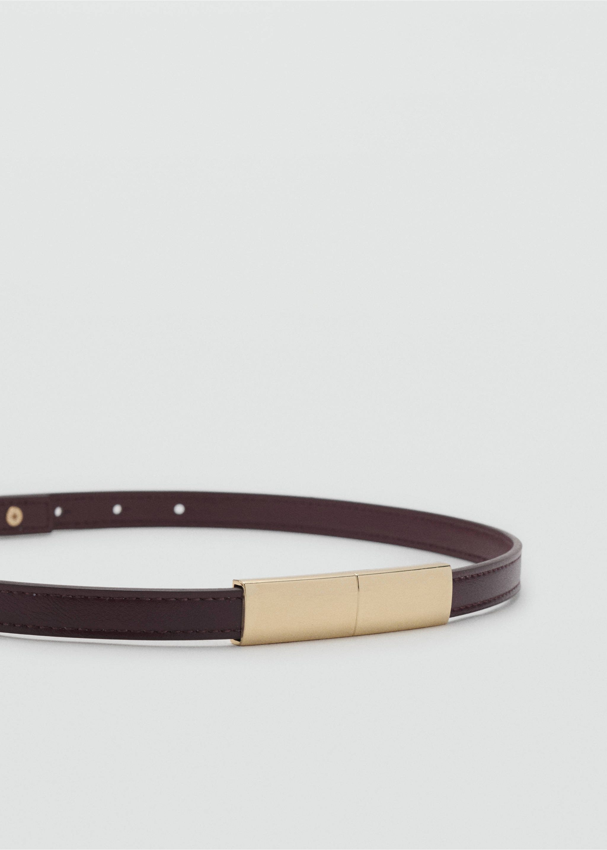Thin belt with metal detail - Details of the article 1, Burgundy. Ref: 17004098-00.