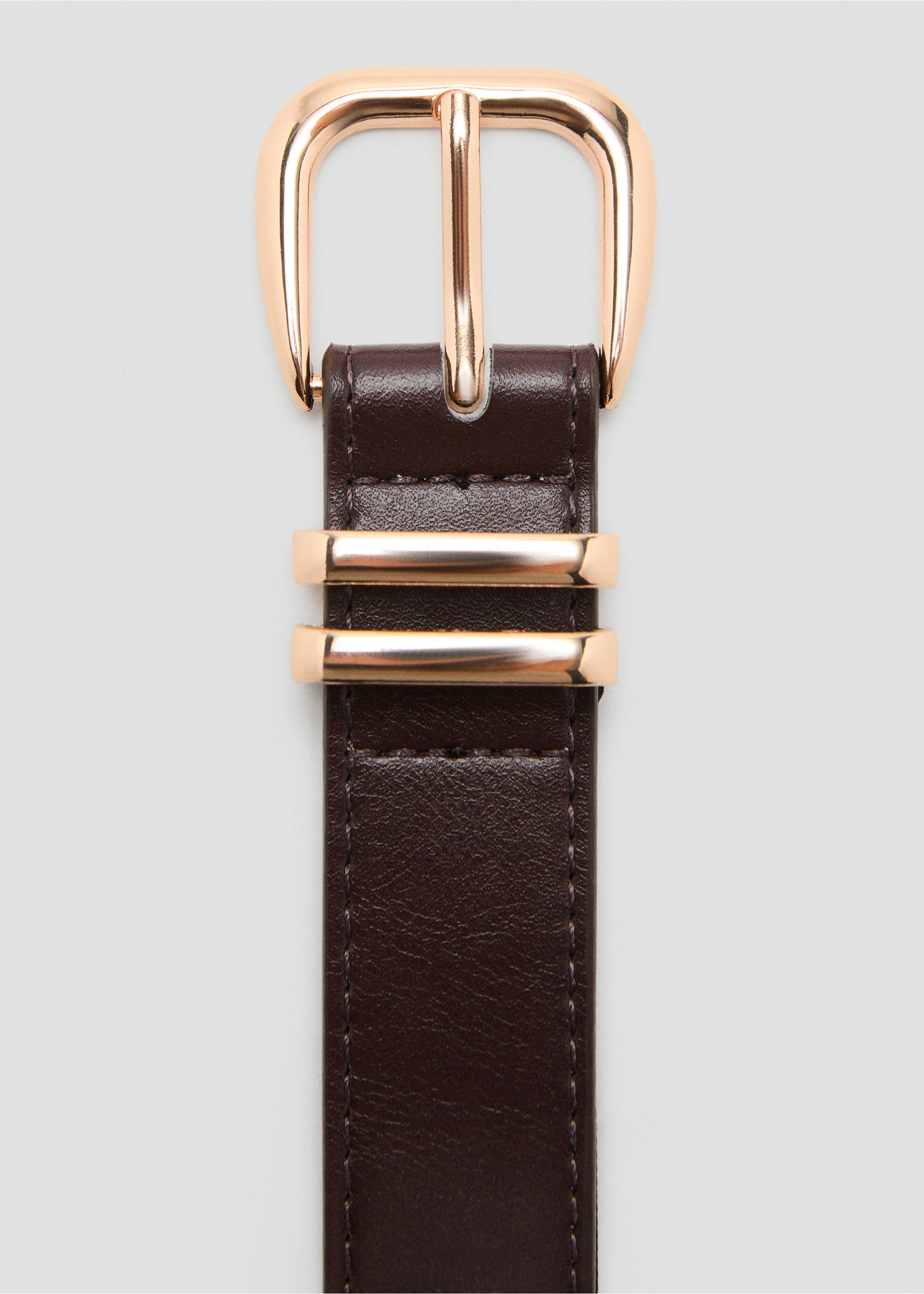 Metal buckle belt - Details of the article 1, Chocolate. Ref: 17004099-00.