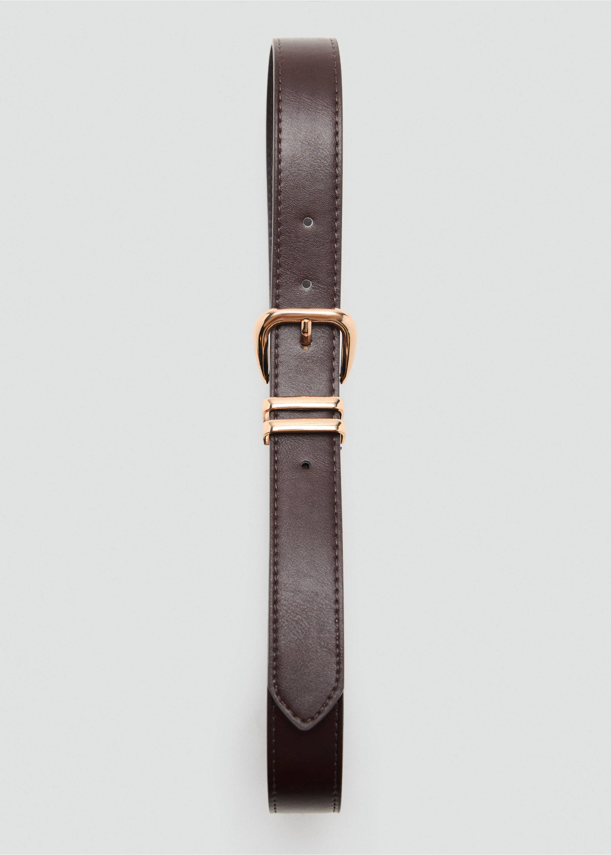 Metal buckle belt - Details of the article 2, Chocolate. Ref: 17004099-00.