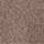 Medium Brown