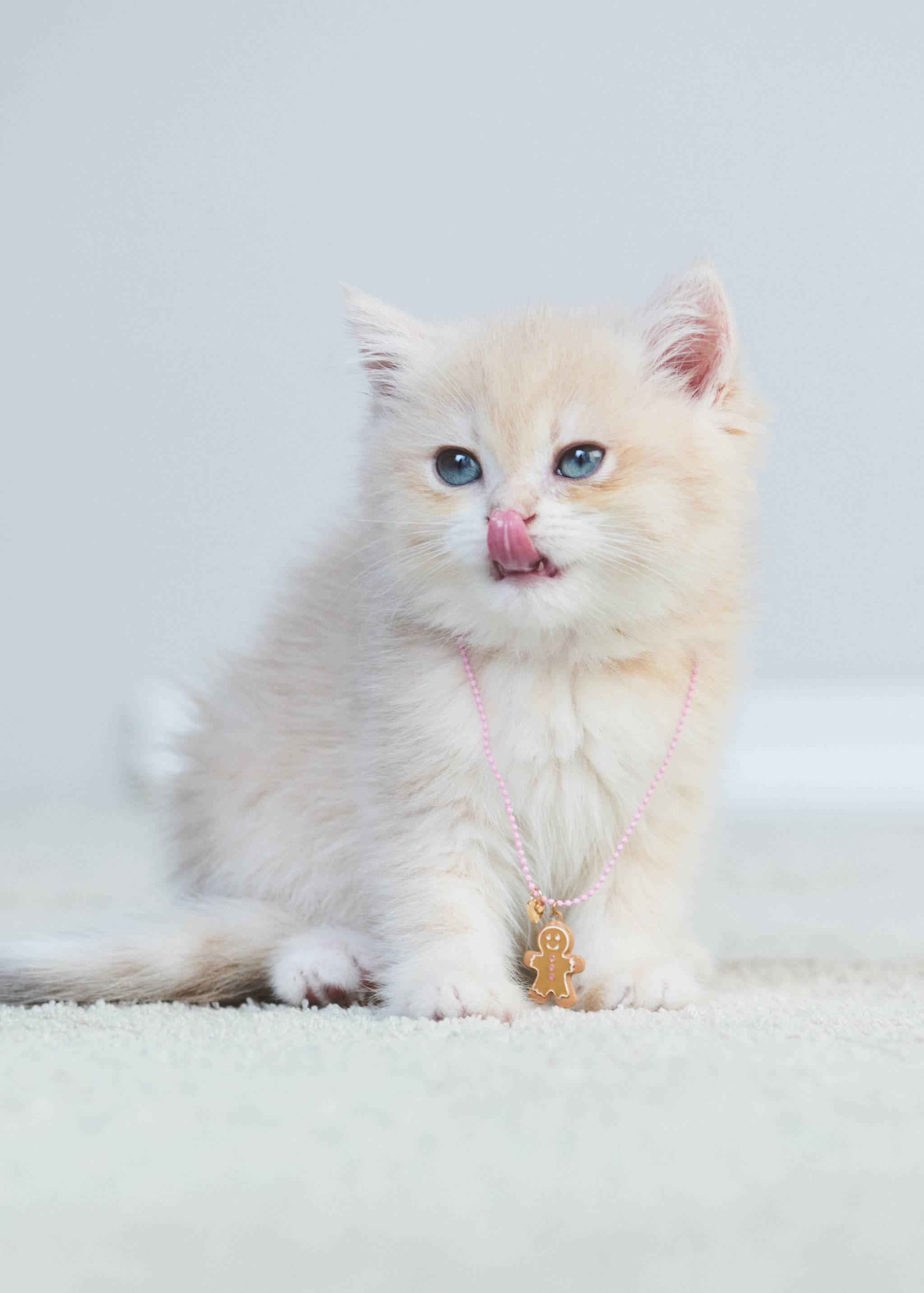 Pack of 2 Christmas necklaces - Details of the article 5