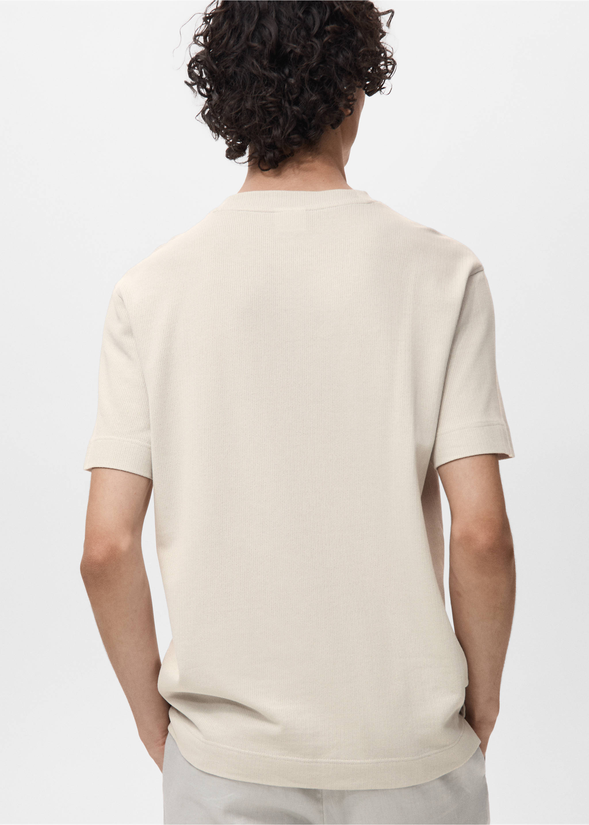 Cotton fine-knit t-shirt - Reverse of the article, Ice Grey. Ref: 17011234-00.