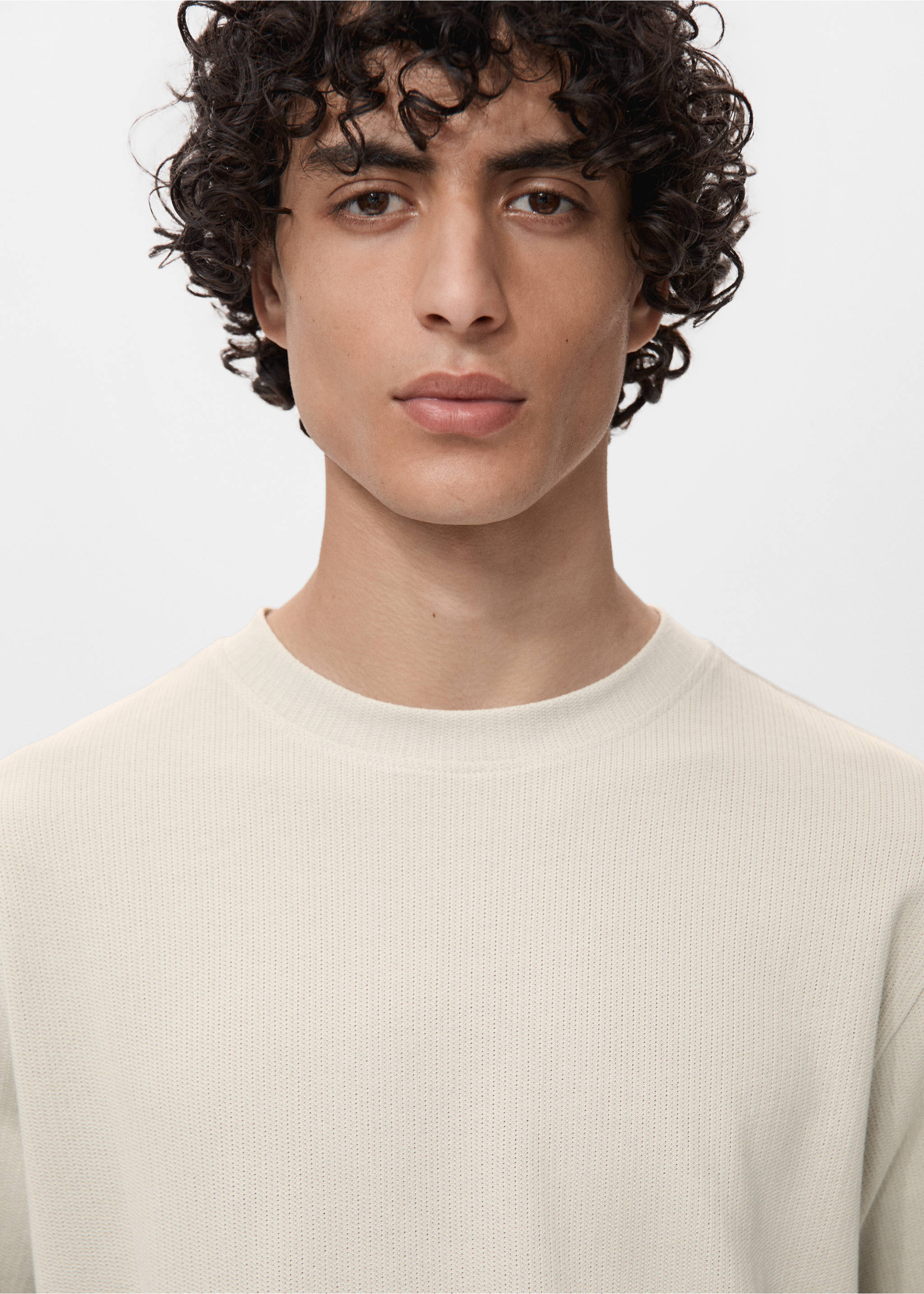Cotton fine-knit t-shirt - Details of the article 1, Ice Grey. Ref: 17011234-00.