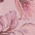 Cerise