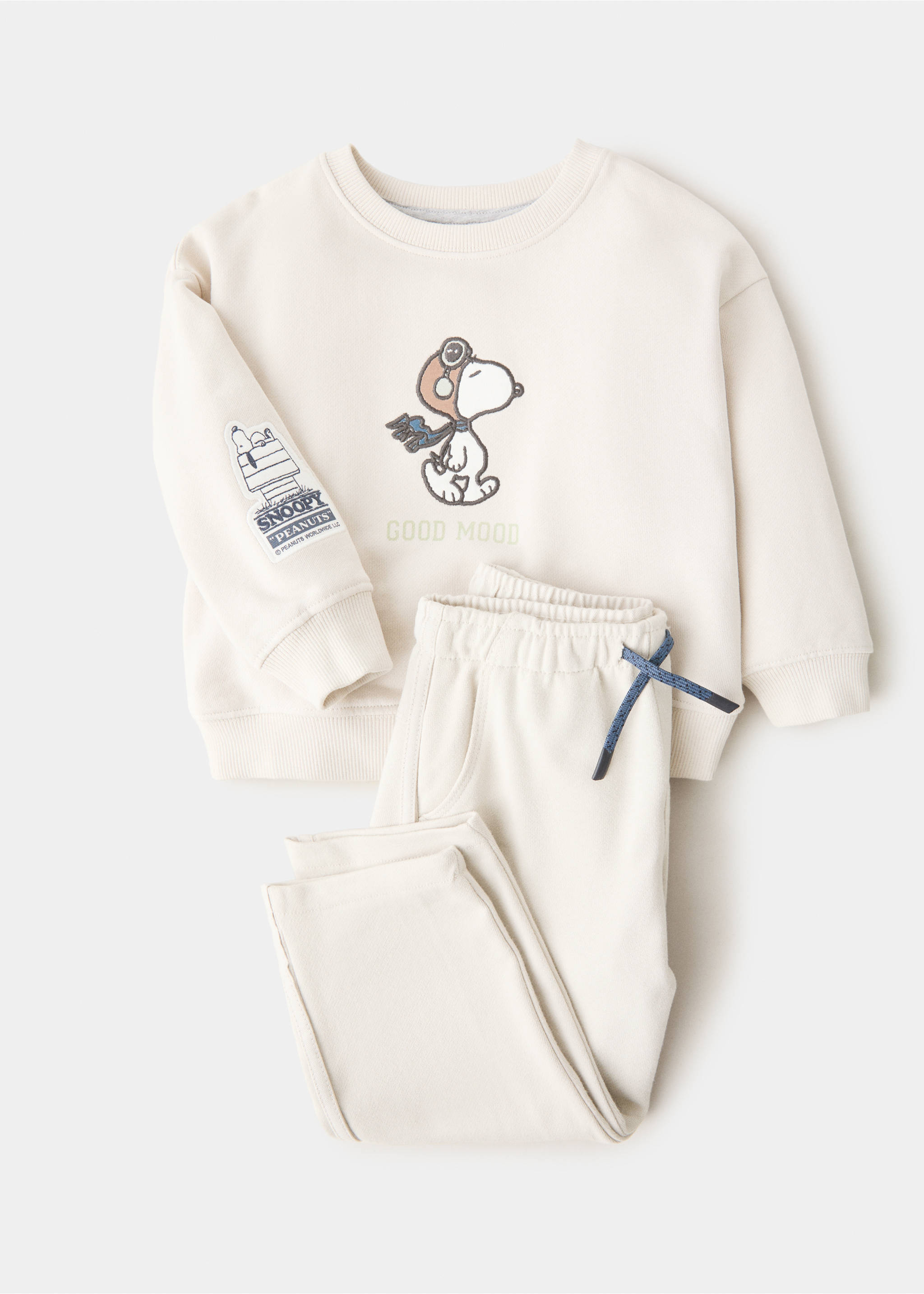 Embroidered Snoopy sweatshirt - Details of the article 0, Ice Grey. Ref: 17015159-00.