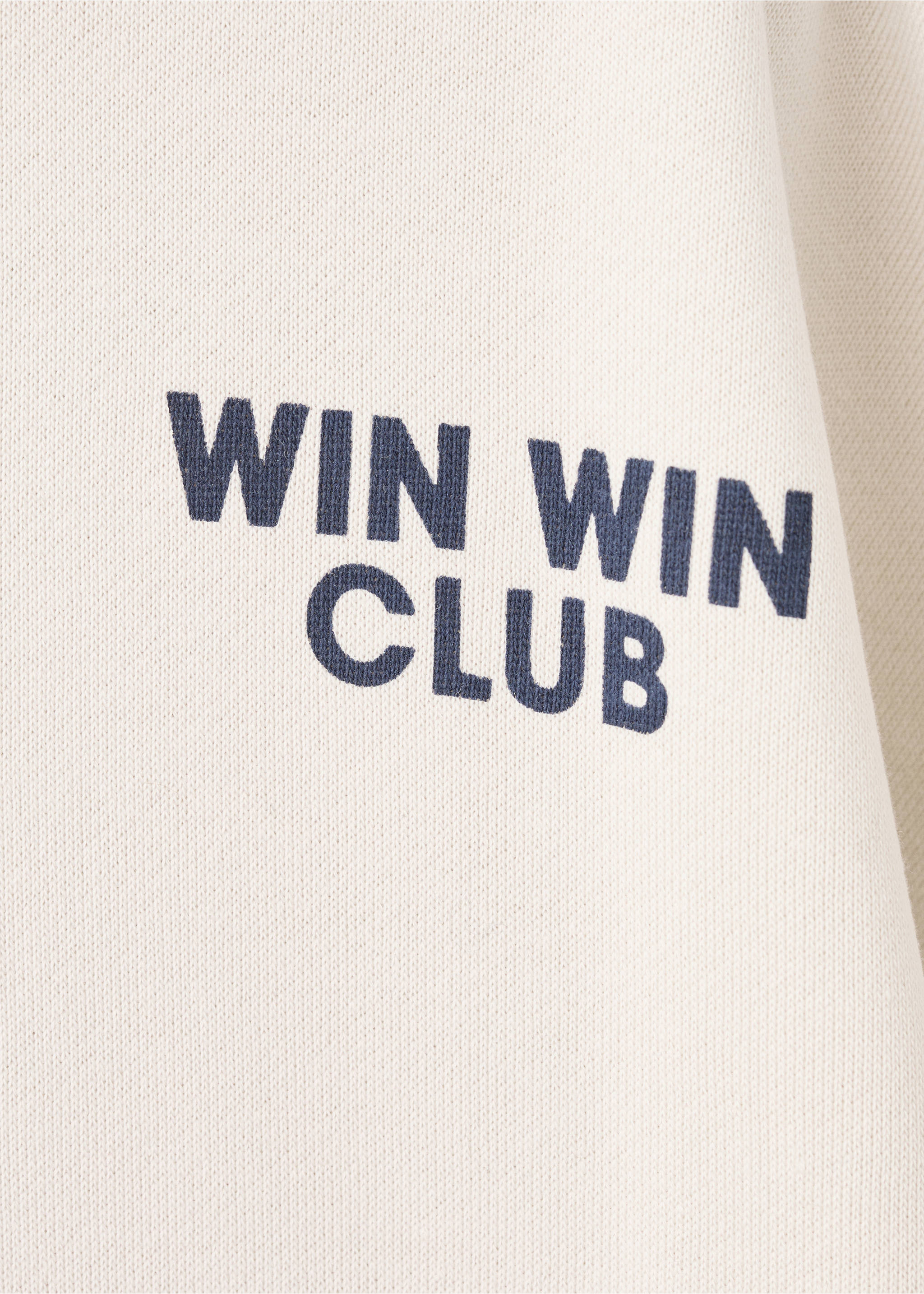 Printed cotton sweatshirt - Details of the article 0, Ice Grey. Ref: 17016347-00.