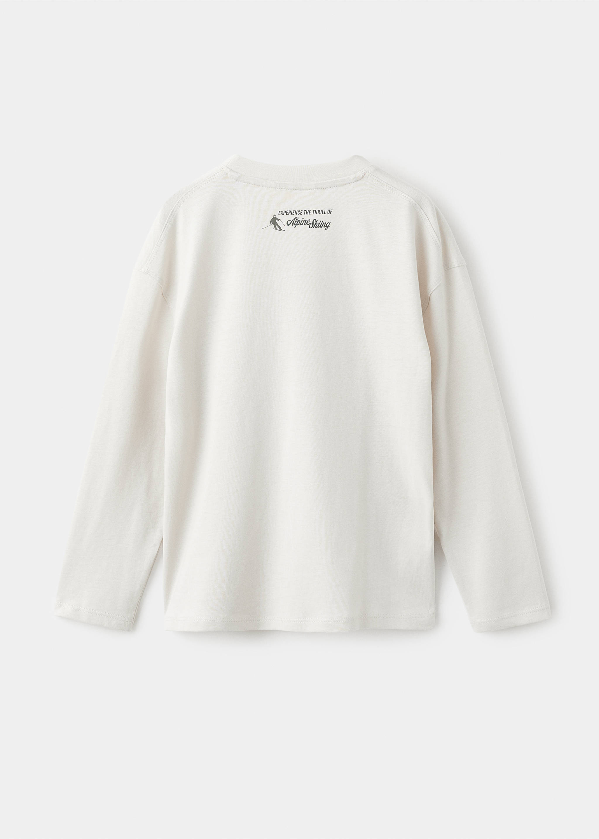 Embroidered printed T-shirt - Reverse of the article, Ice Grey. Ref: 17017777-00.