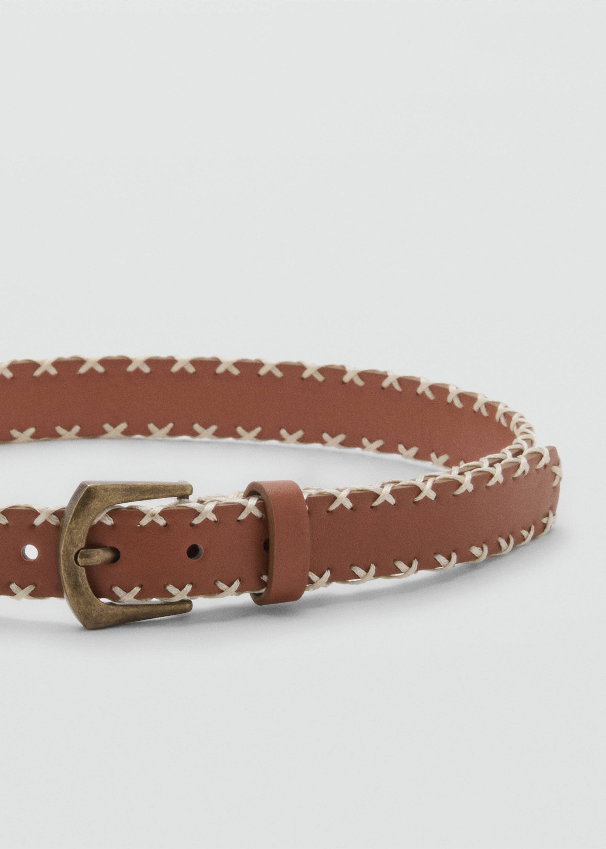 Embroidered belt - Details of the article 1, Medium Brown. Ref: 17021521-00.