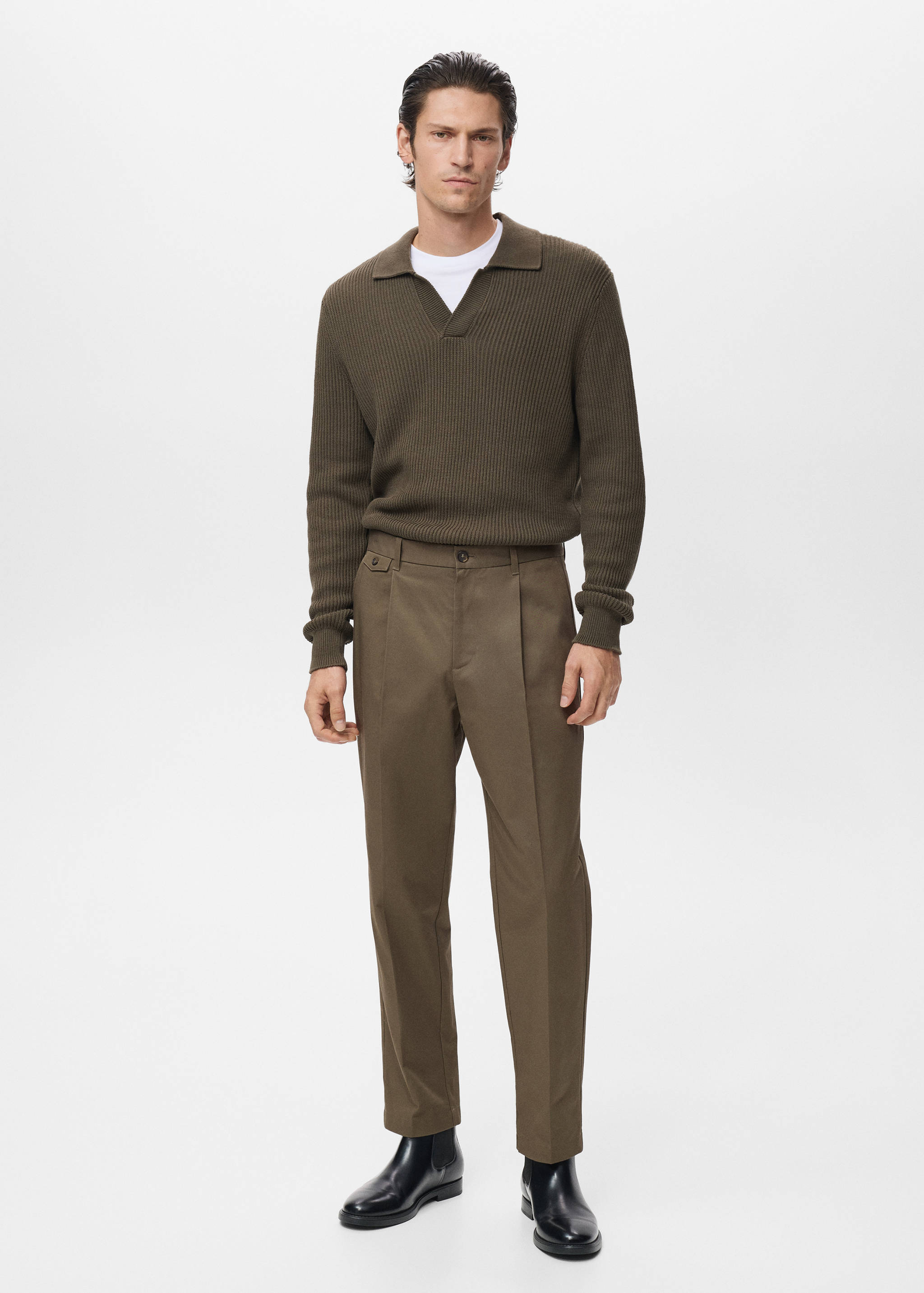 Regular fit pleated cotton trousers - General plane