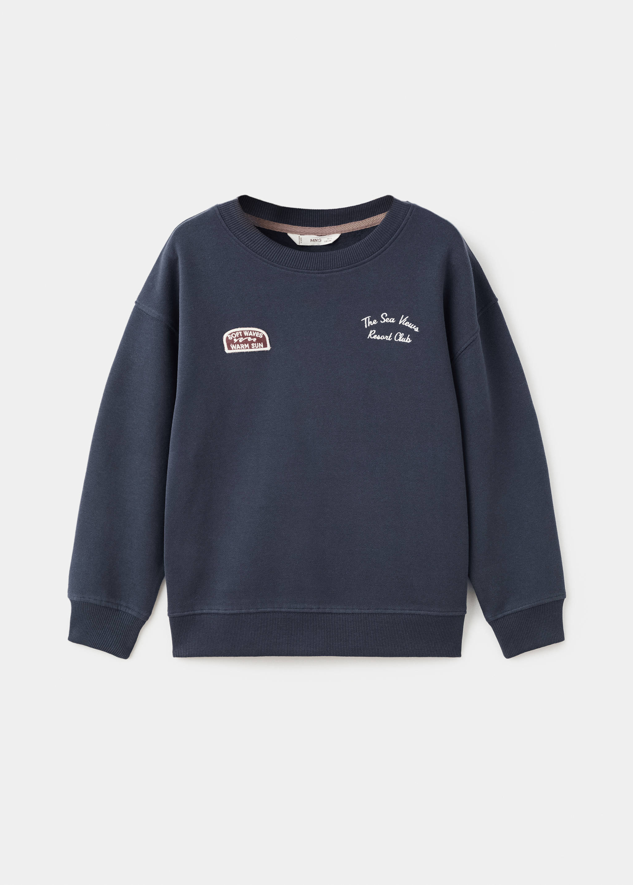 Embroidered cotton sweatshirt - Article without model