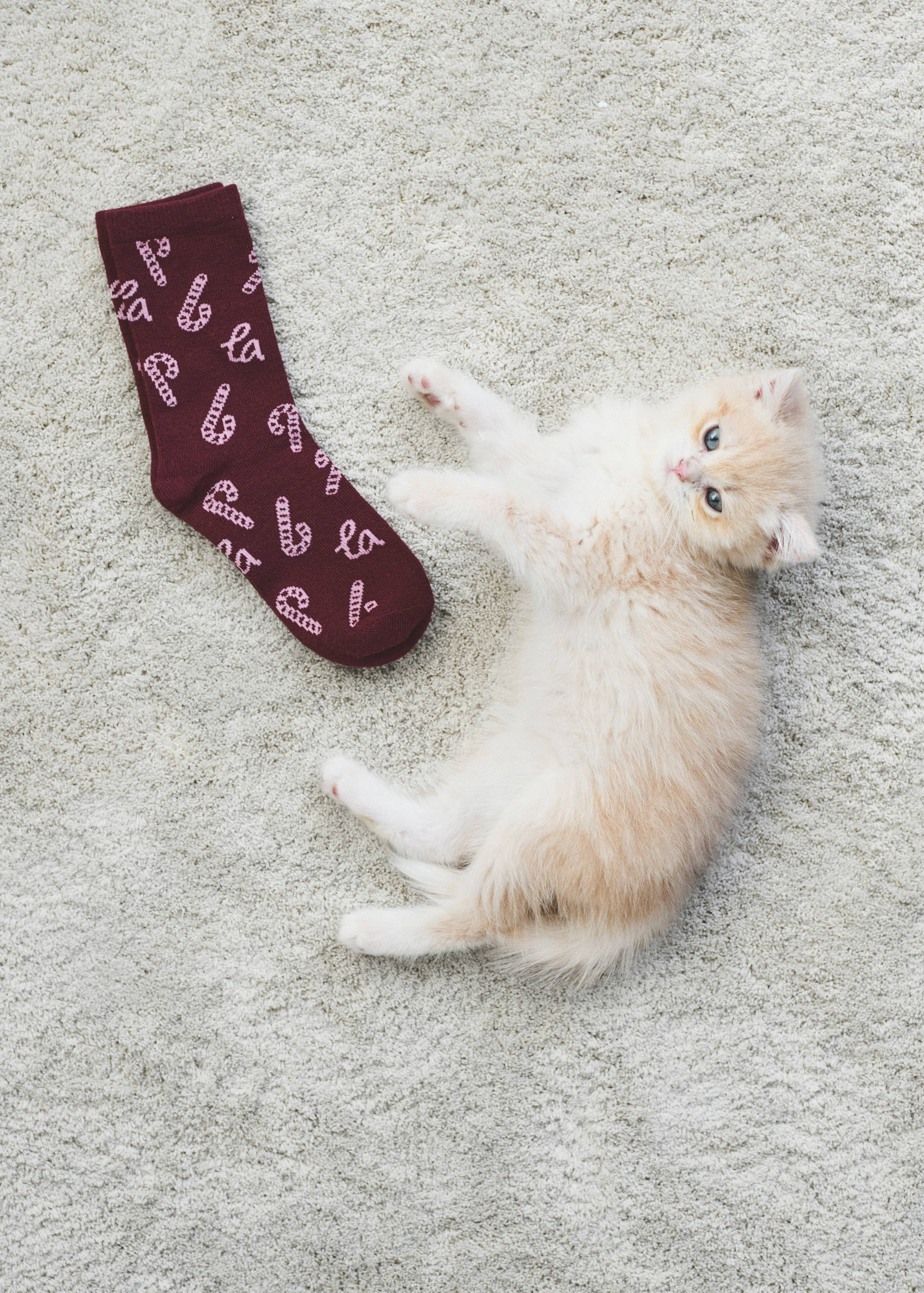 2 pack Christmas printed socks - Details of the article 5