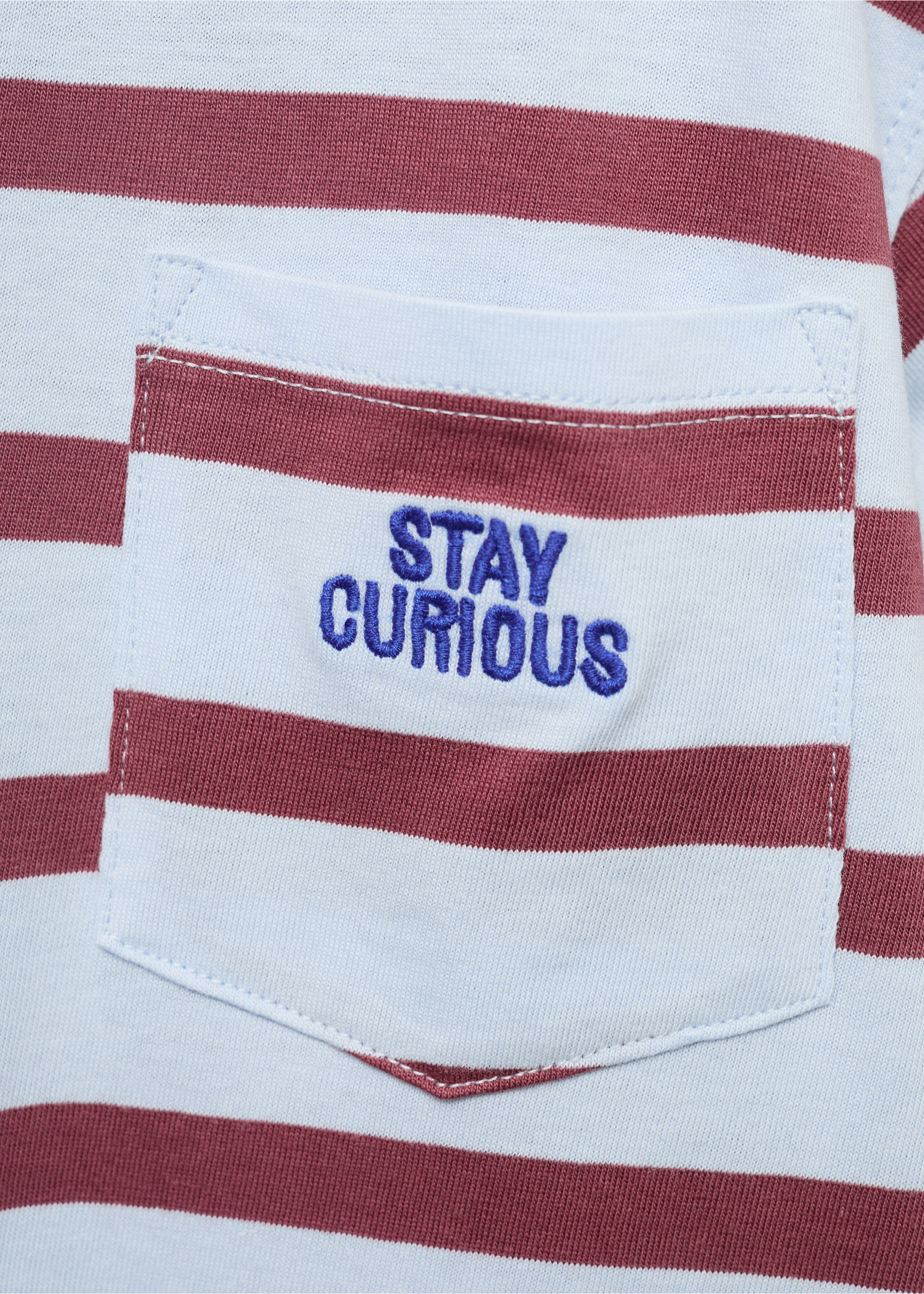 Striped t-shirt with embroidered detail - Details of the article 8, Sky Blue. Ref: 17032541-00.