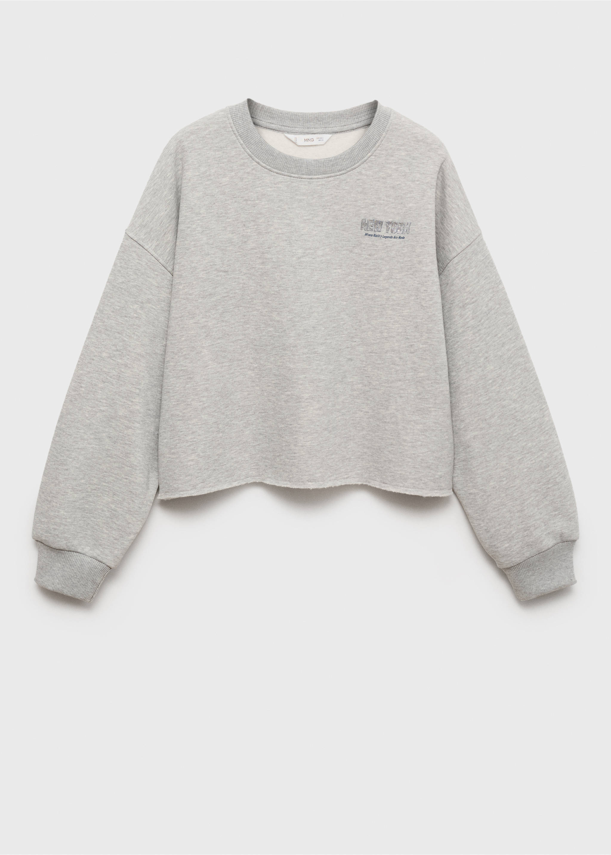 Printed cotton sweatshirt - Article without model, Light Heather Grey. Ref: 17034777-00.