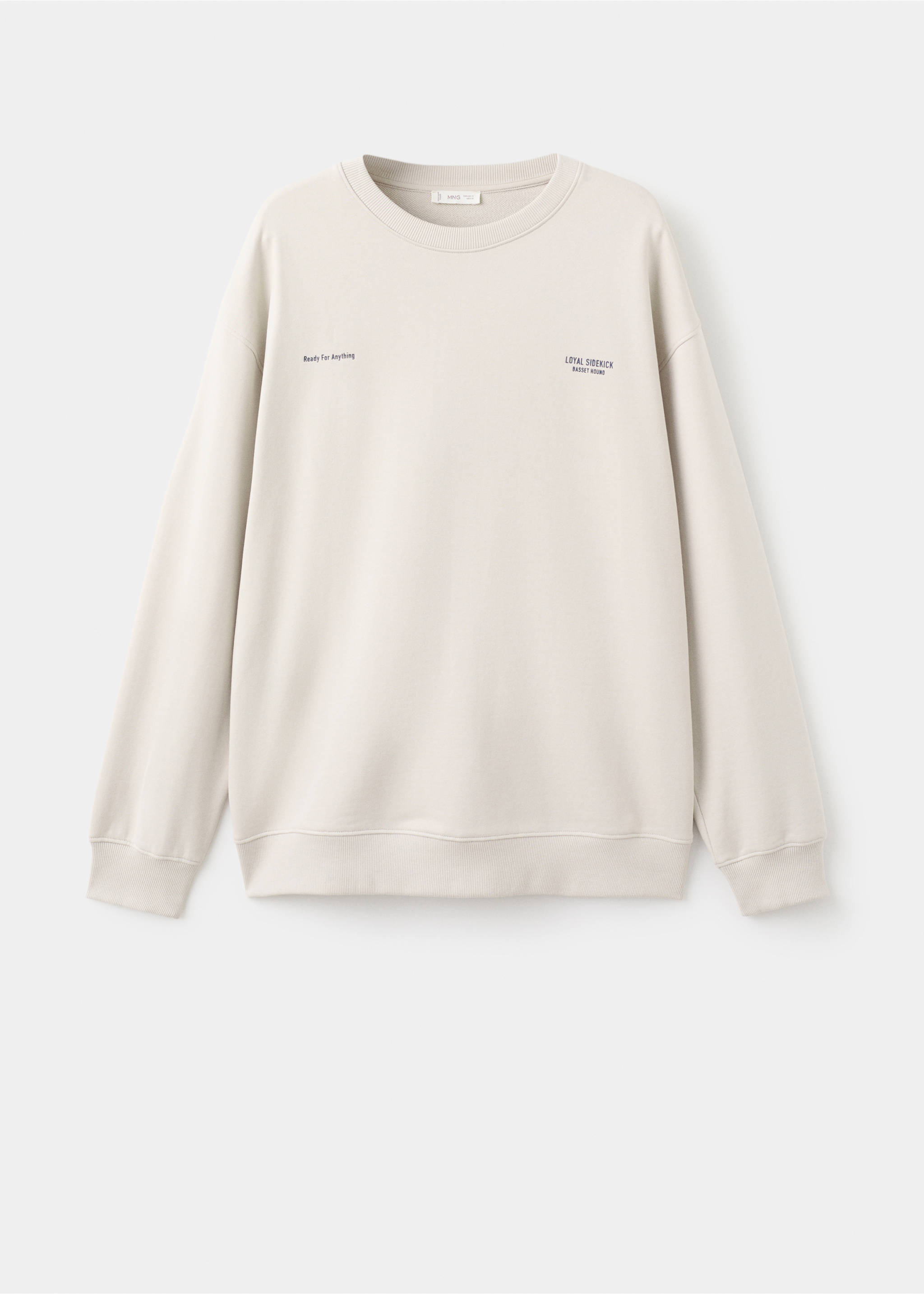 Gemustertes Baumwoll-Sweatshirt - Artikel ohne Model, Hellgrau/Pastellgrau. Ref: 17035811-00.