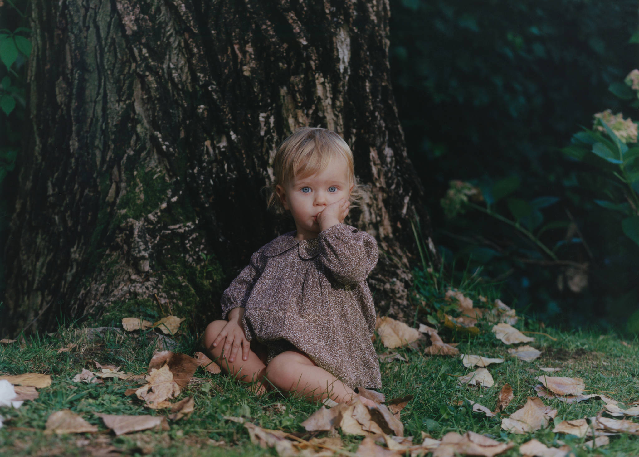 Floral dress and nappy cover - Panoramic plane