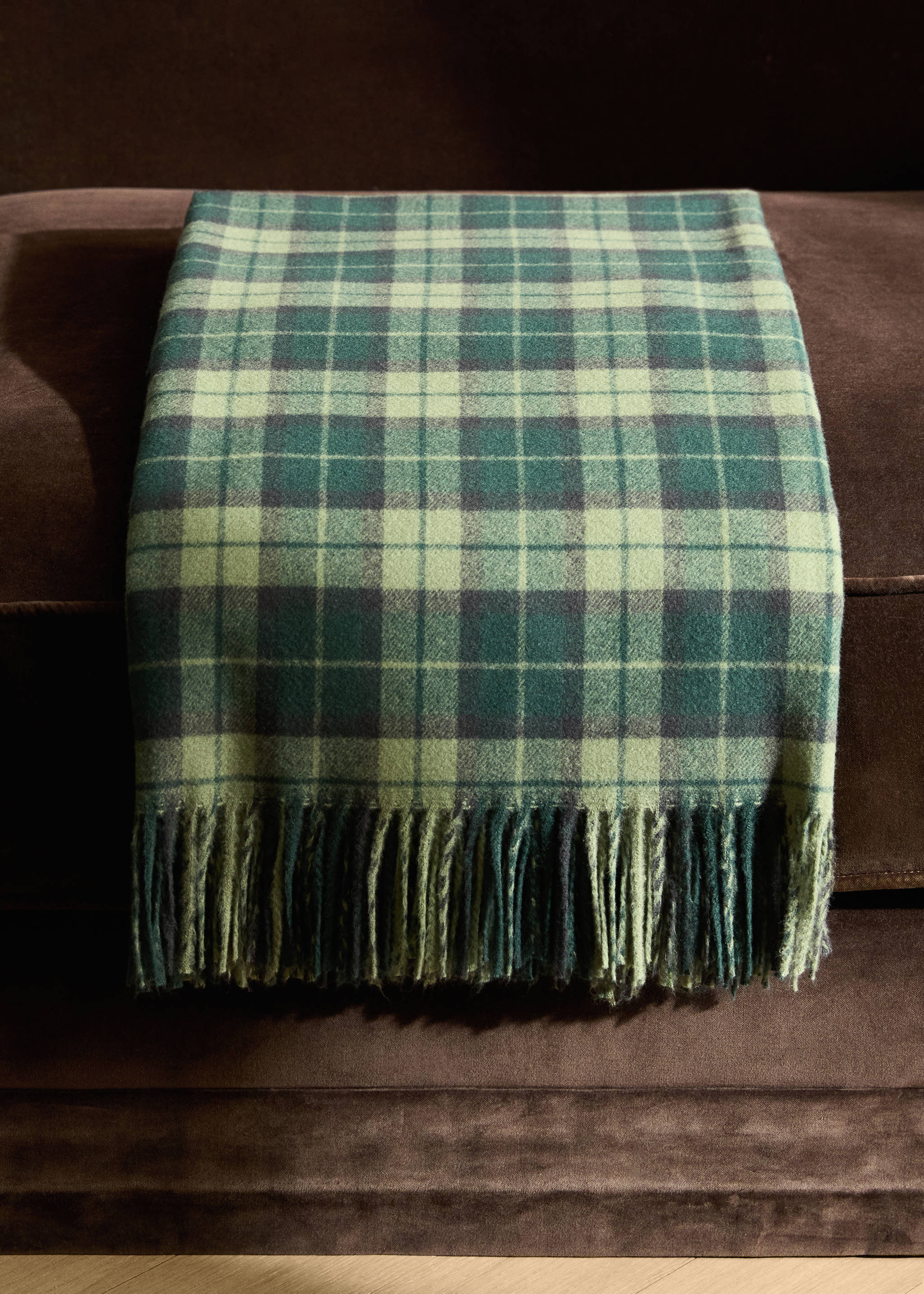 Fringed blanket with check design - General plane
