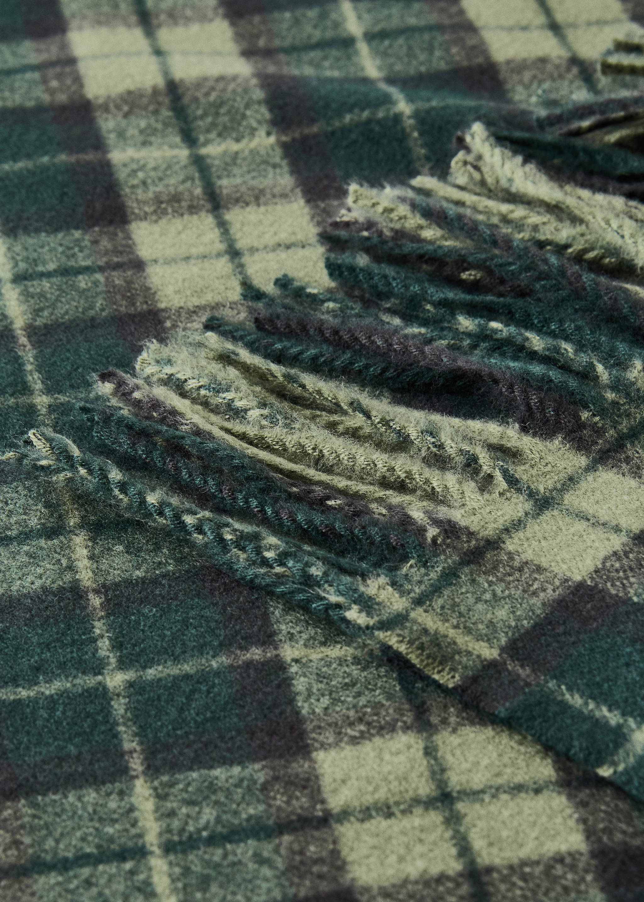 Fringed blanket with check design - Details of the article 1