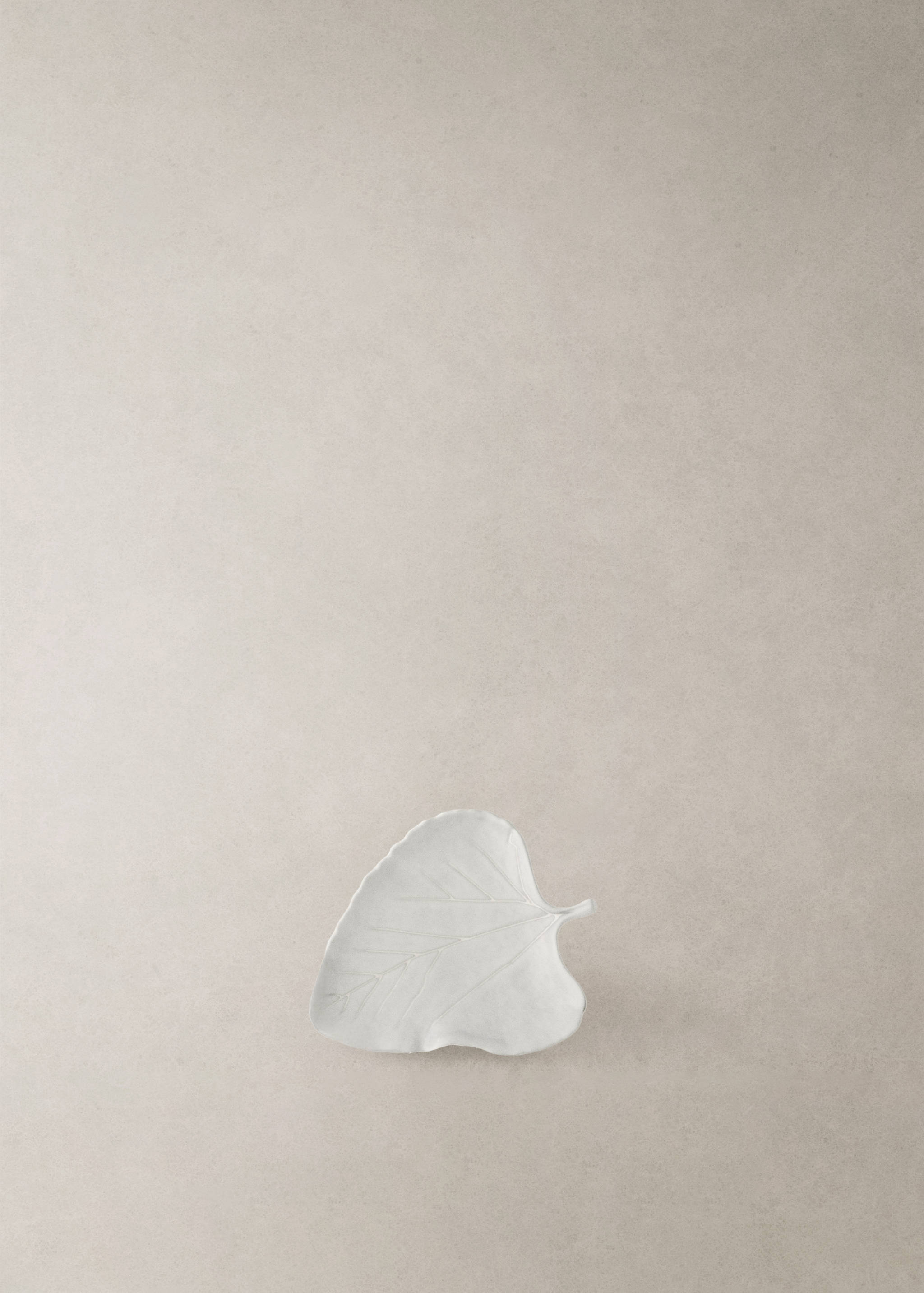 White leaf-shaped serving dish with embossed vein details.