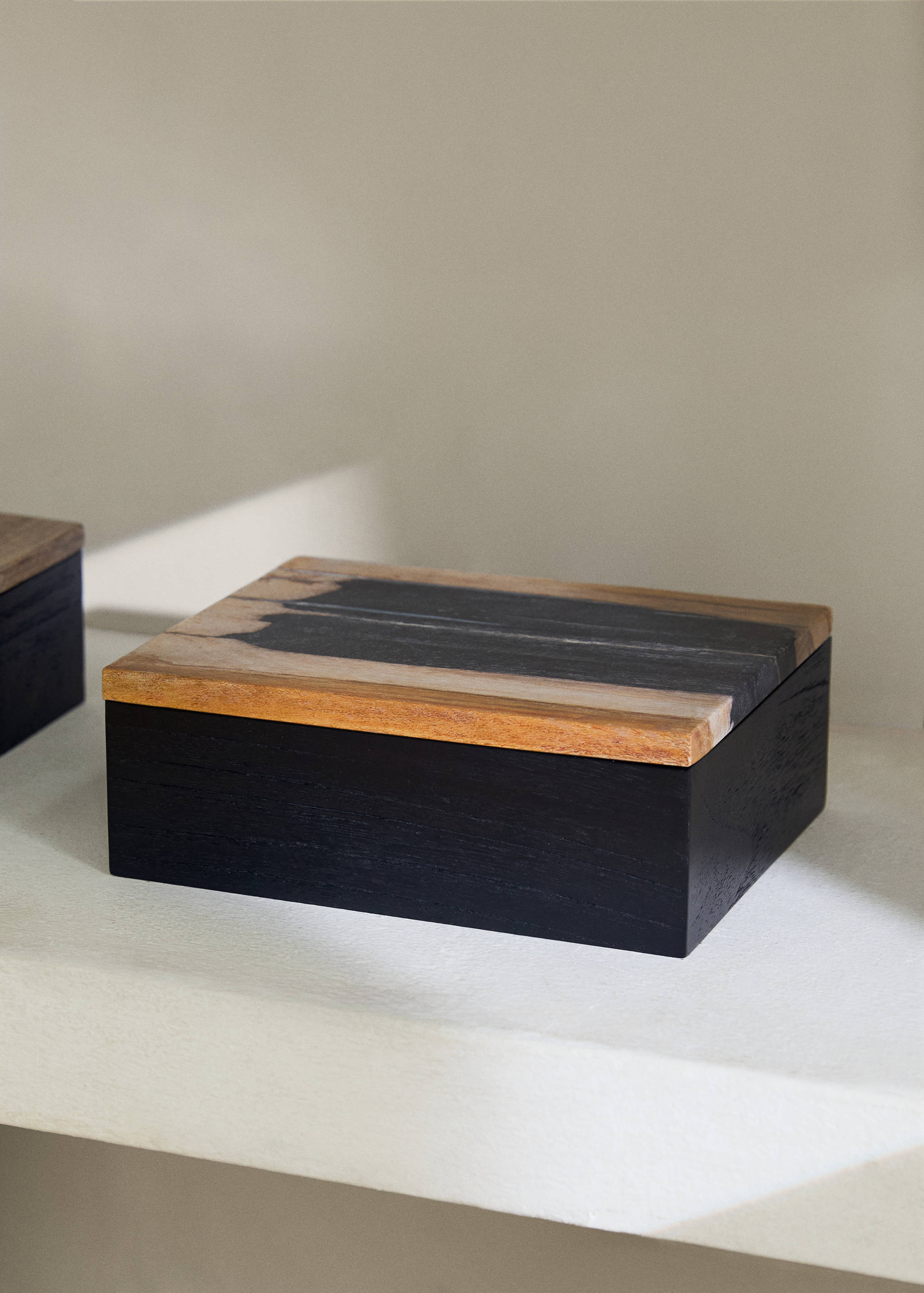 Grande boîte décorative en bois pétrifié - Plan général