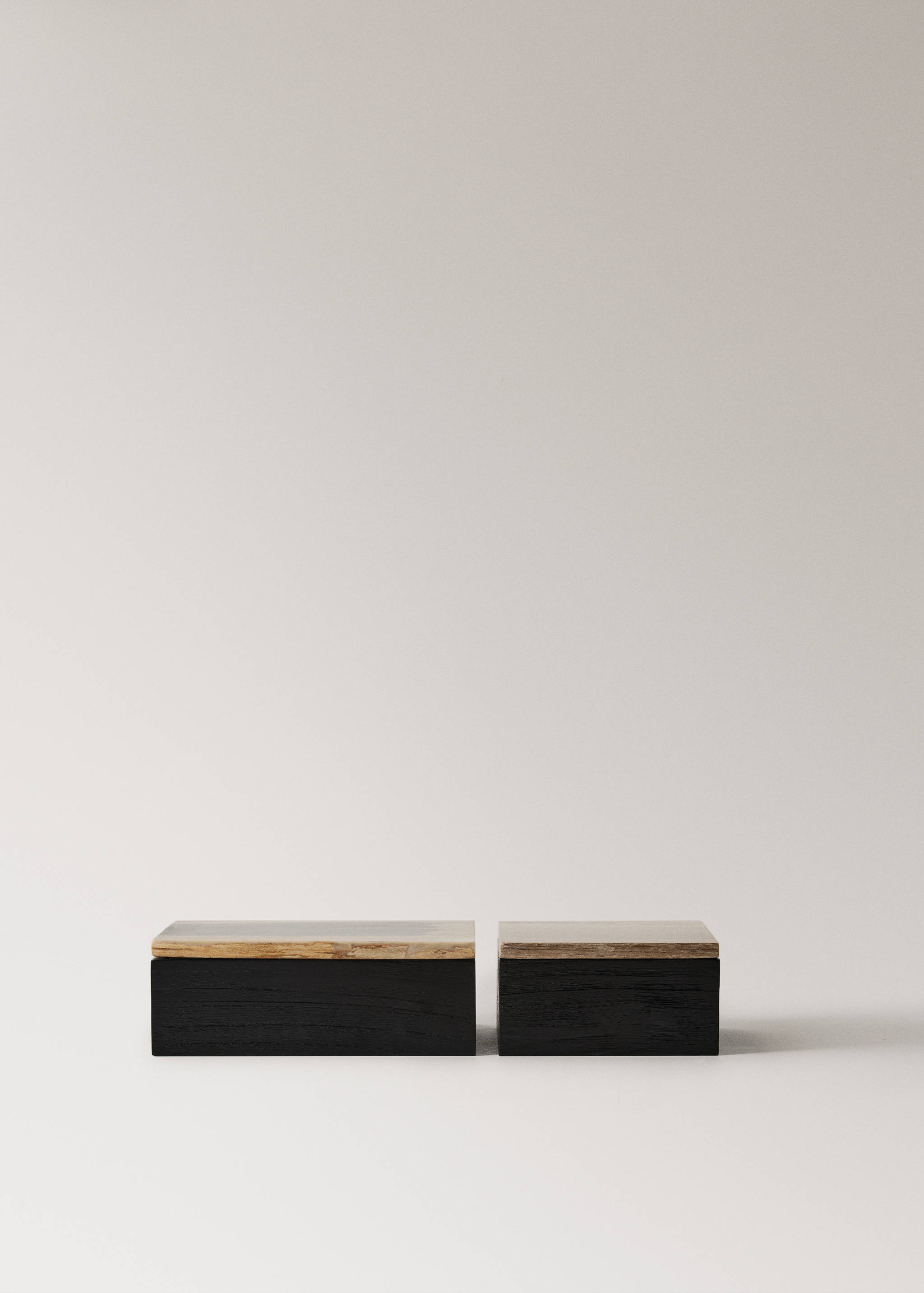 Grande boîte décorative en bois pétrifié - Détail de l'article 3