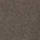 Medium Brown