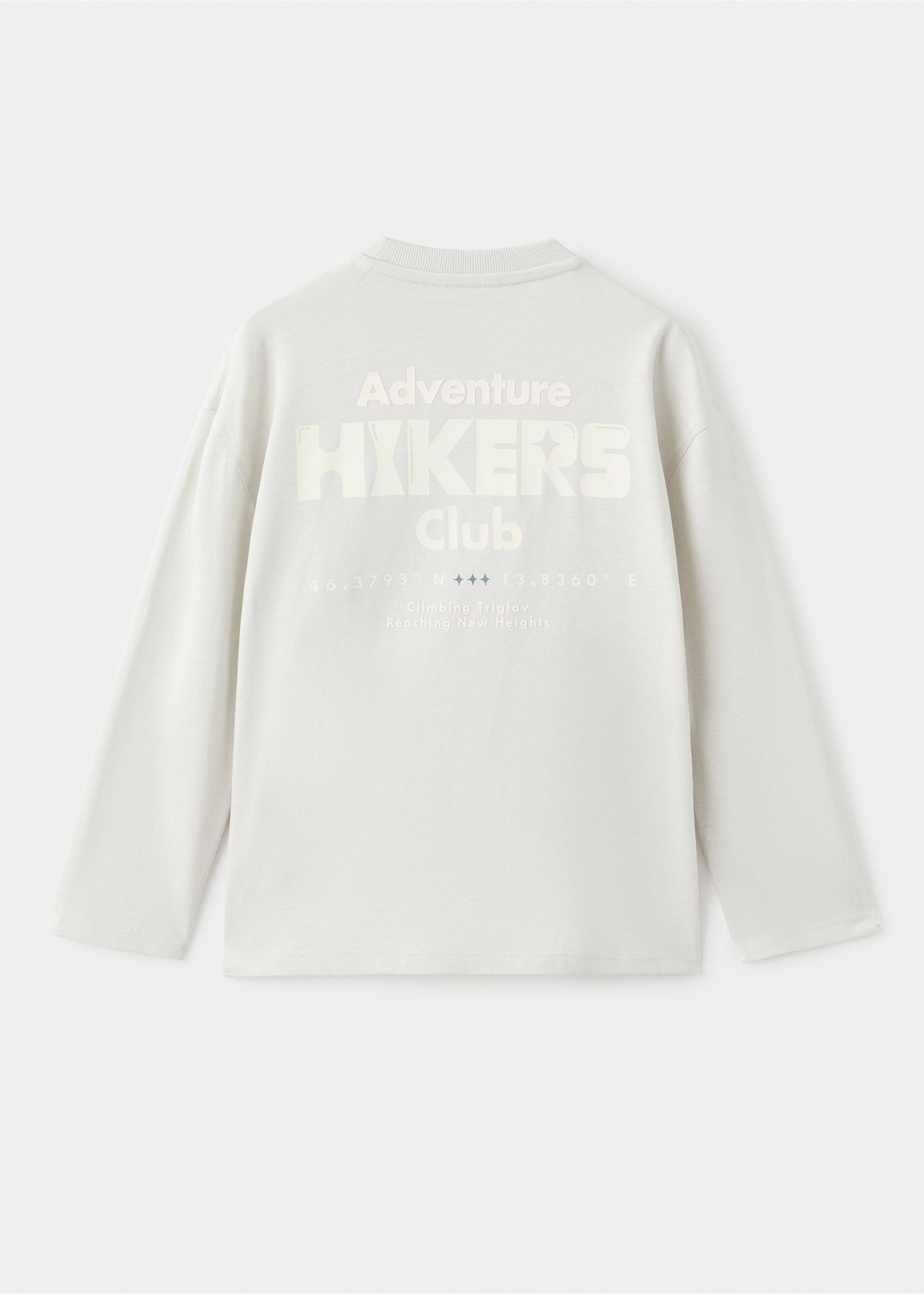 Printed cotton-blend T-shirt - Reverse of the article, Ice Grey. Ref: 17047129-00.