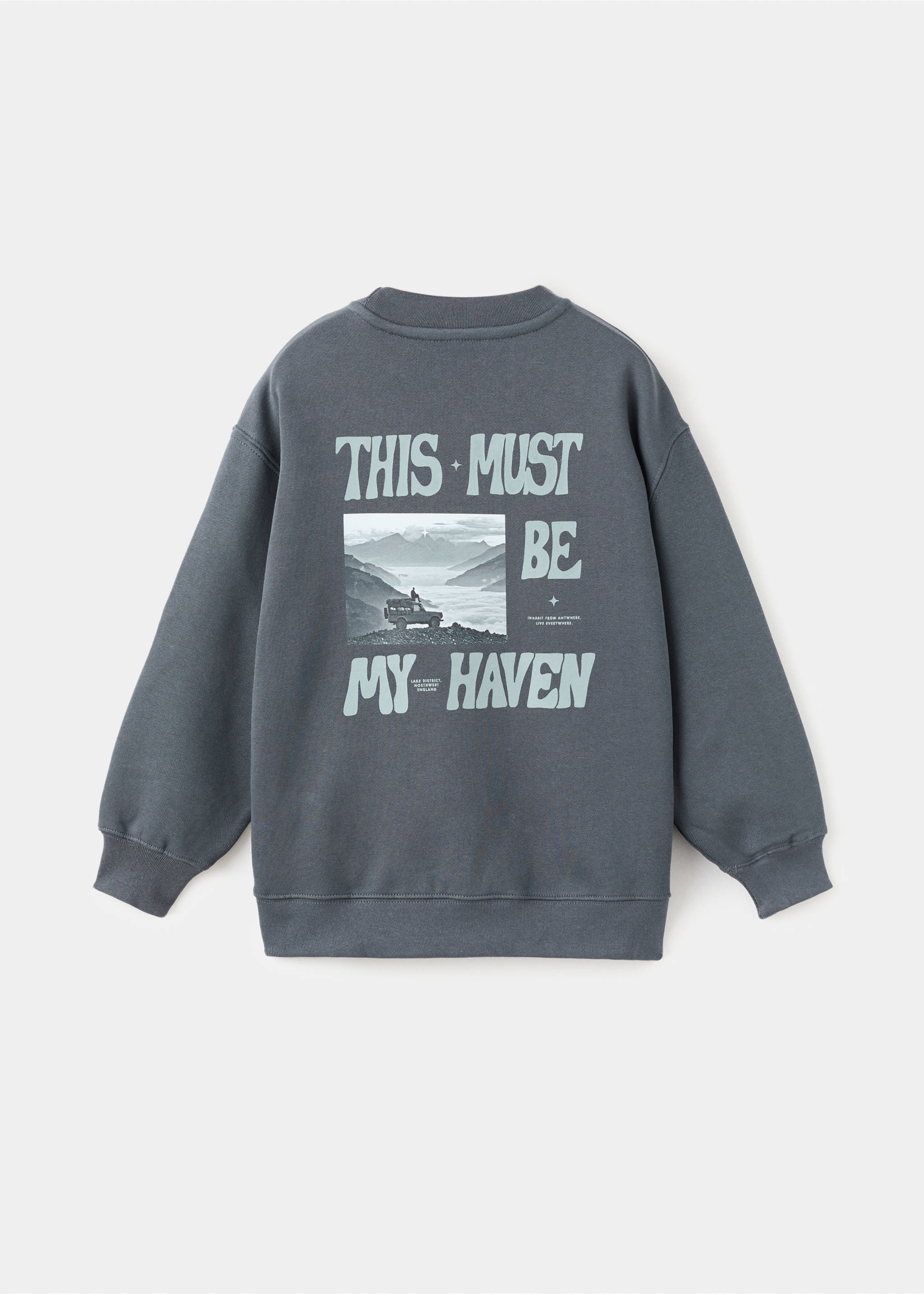 Printed cotton sweatshirt - Reverse of the article, Dark Grey. Ref: 17047136-00.