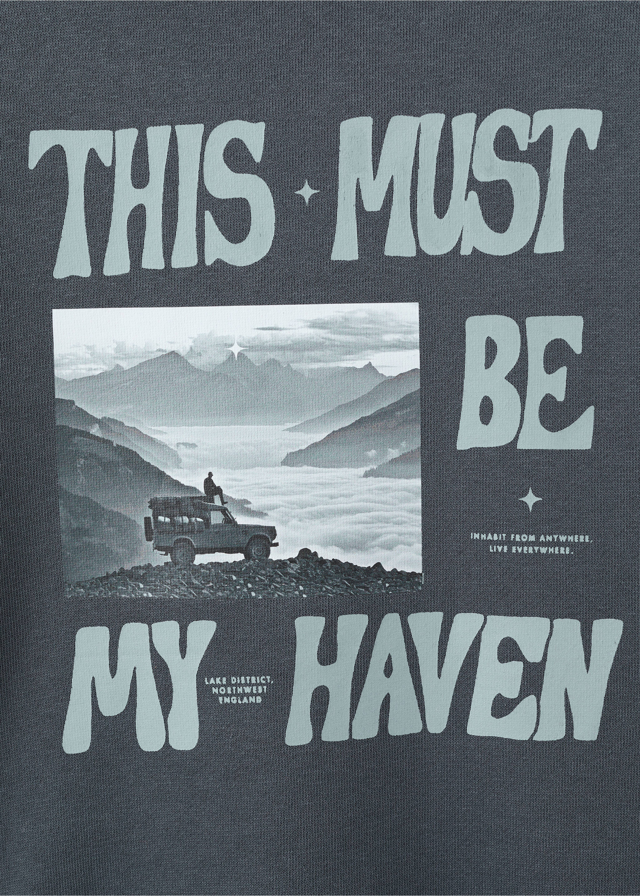 Printed cotton sweatshirt - Details of the article 8, Dark Grey. Ref: 17047136-00.