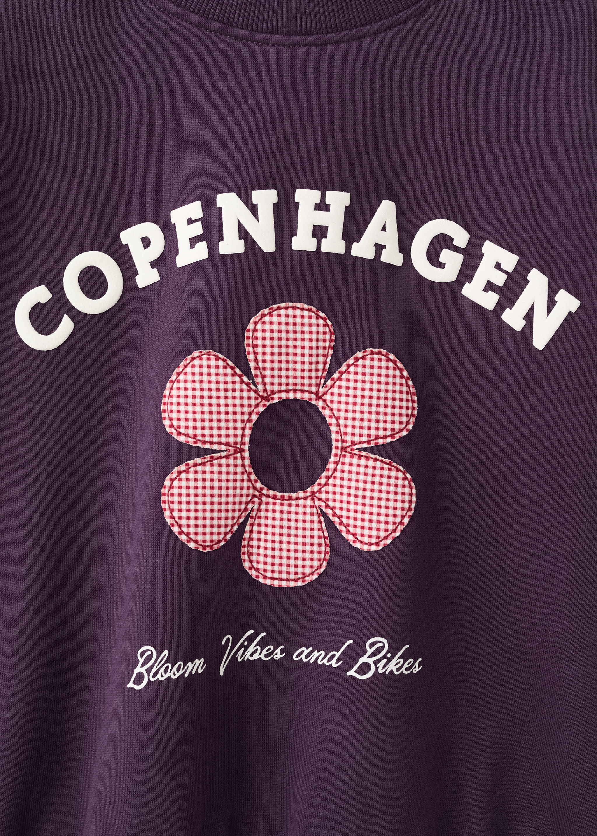 Sweat brodé et imprimé - Détail de l'article 0