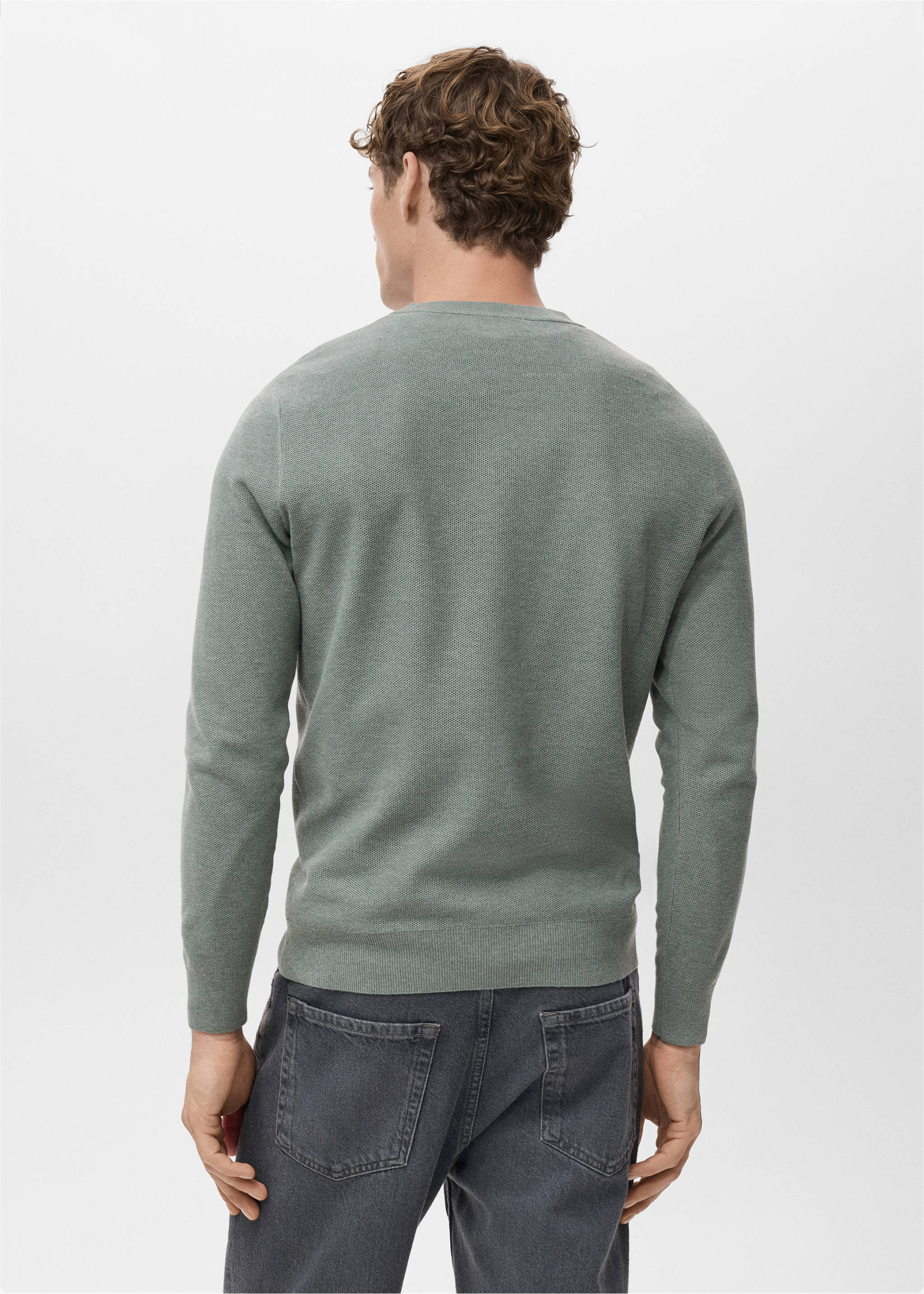 Microstructured cotton knitted sweater - Reverse of the article, Forest Green. Ref: 17055145-00.