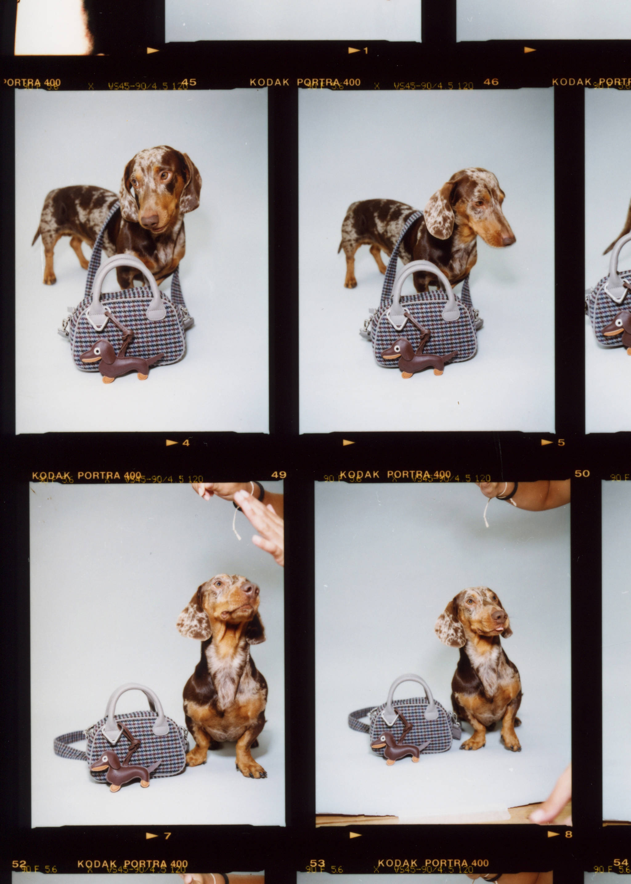 Bossa quadre vichy - Detall de l'article 6