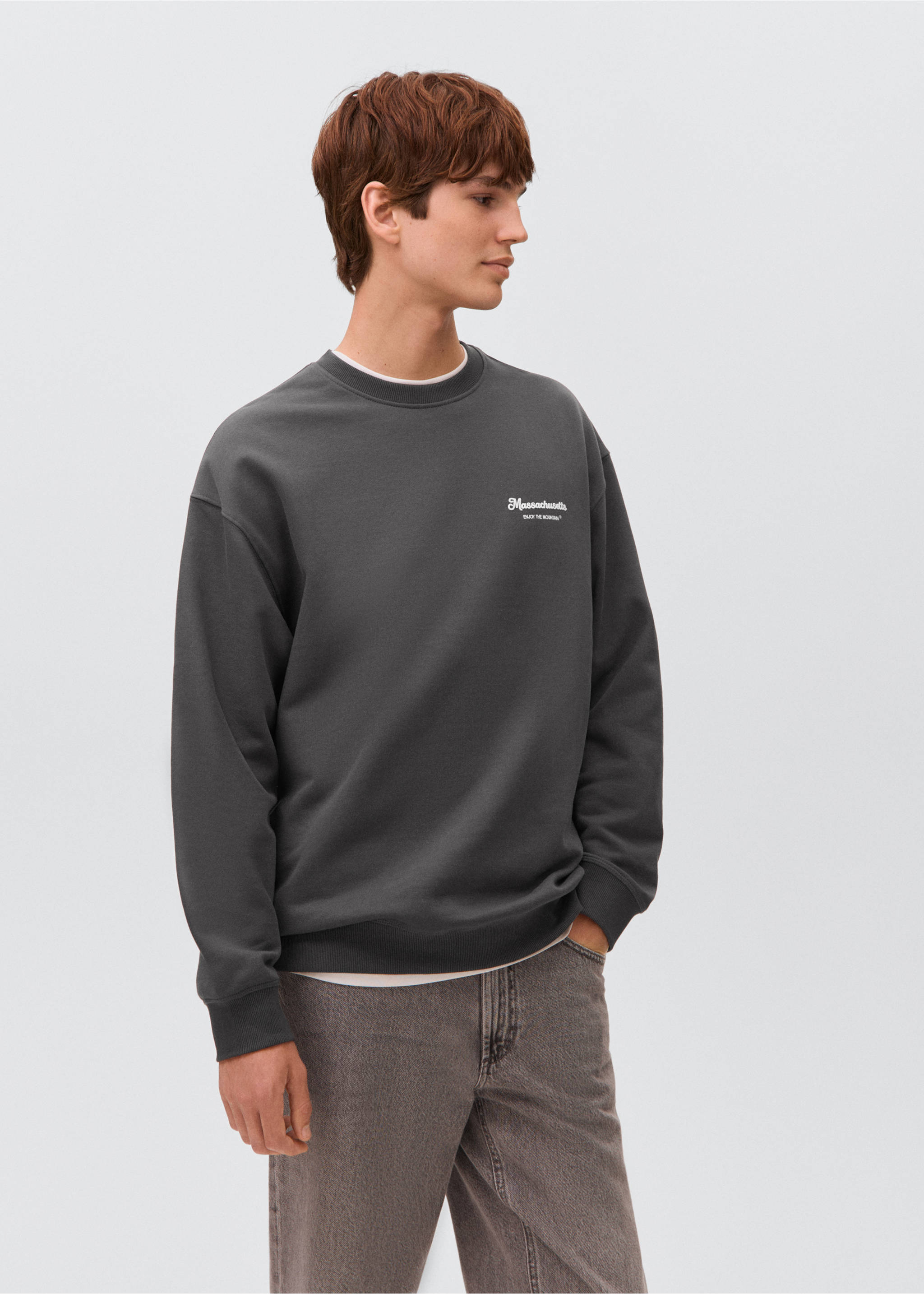 Printed cotton sweatshirt - Medium plane, Charcoal. Ref: 17062913-00.