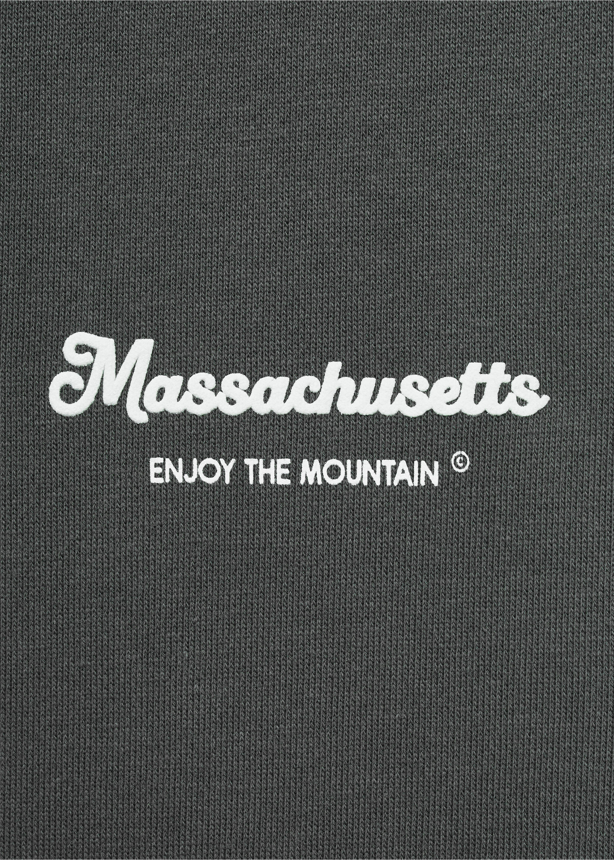 Printed cotton sweatshirt - Details of the article 8, Charcoal. Ref: 17062913-00.