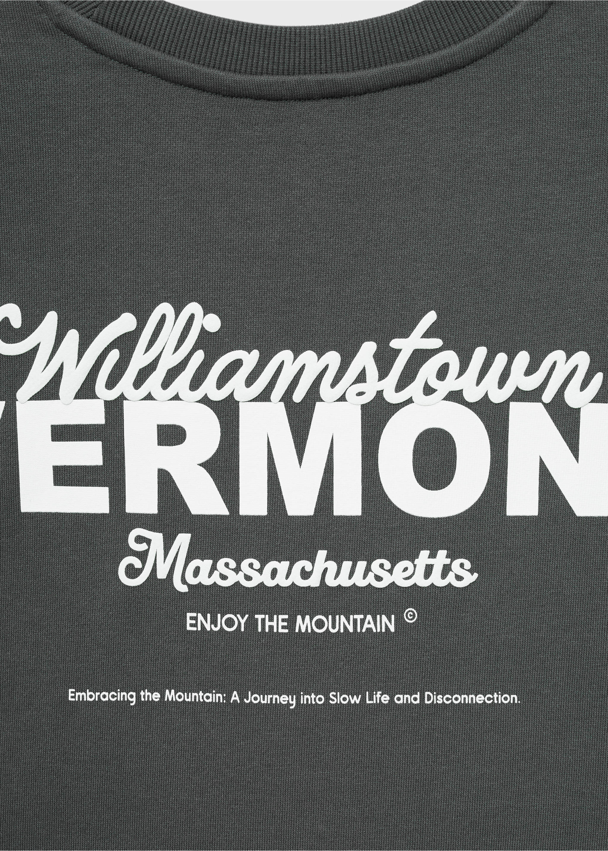 Printed cotton sweatshirt - Details of the article 0, Charcoal. Ref: 17062913-00.