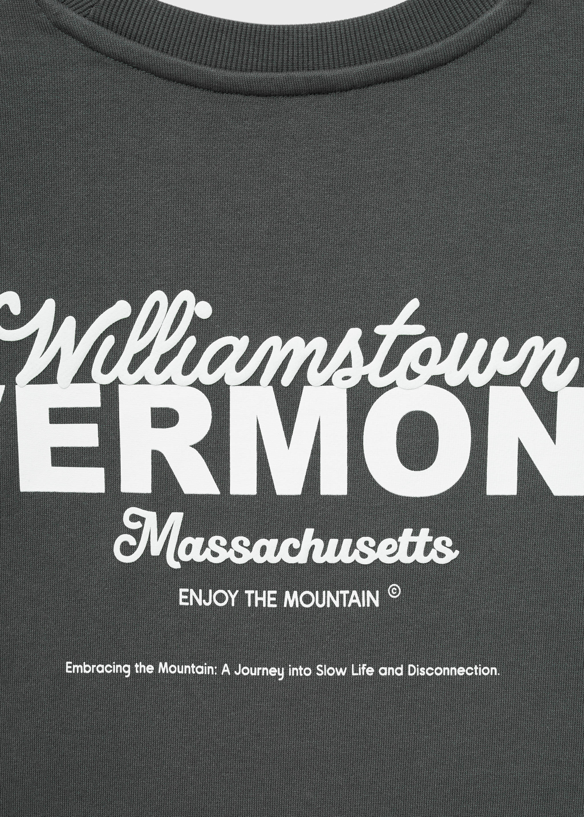 Printed cotton sweatshirt - Details of the article 0