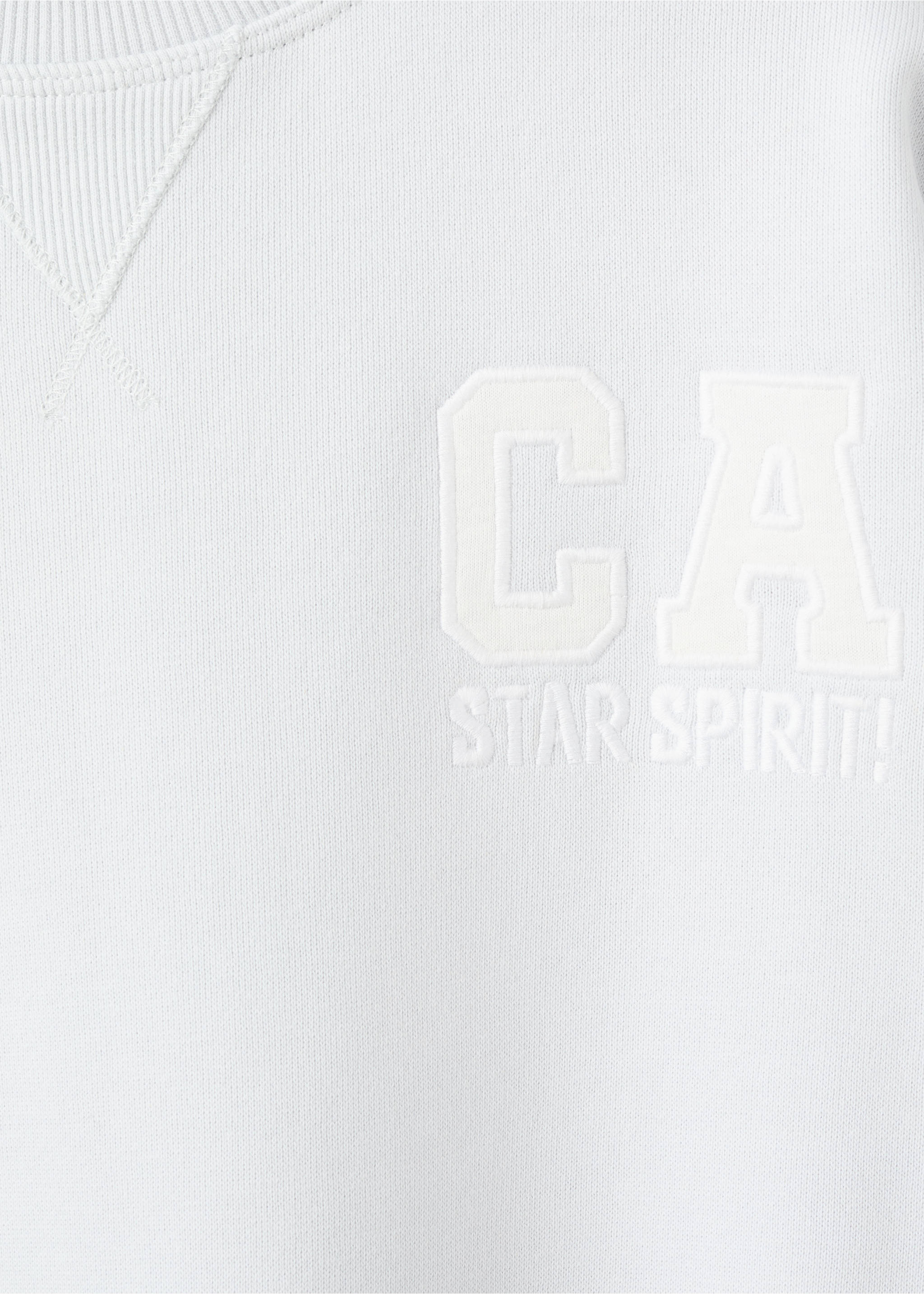 Printed cotton sweatshirt - Details of the article 8, Sky Blue. Ref: 17064420-00.