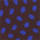 Colour Brown selected