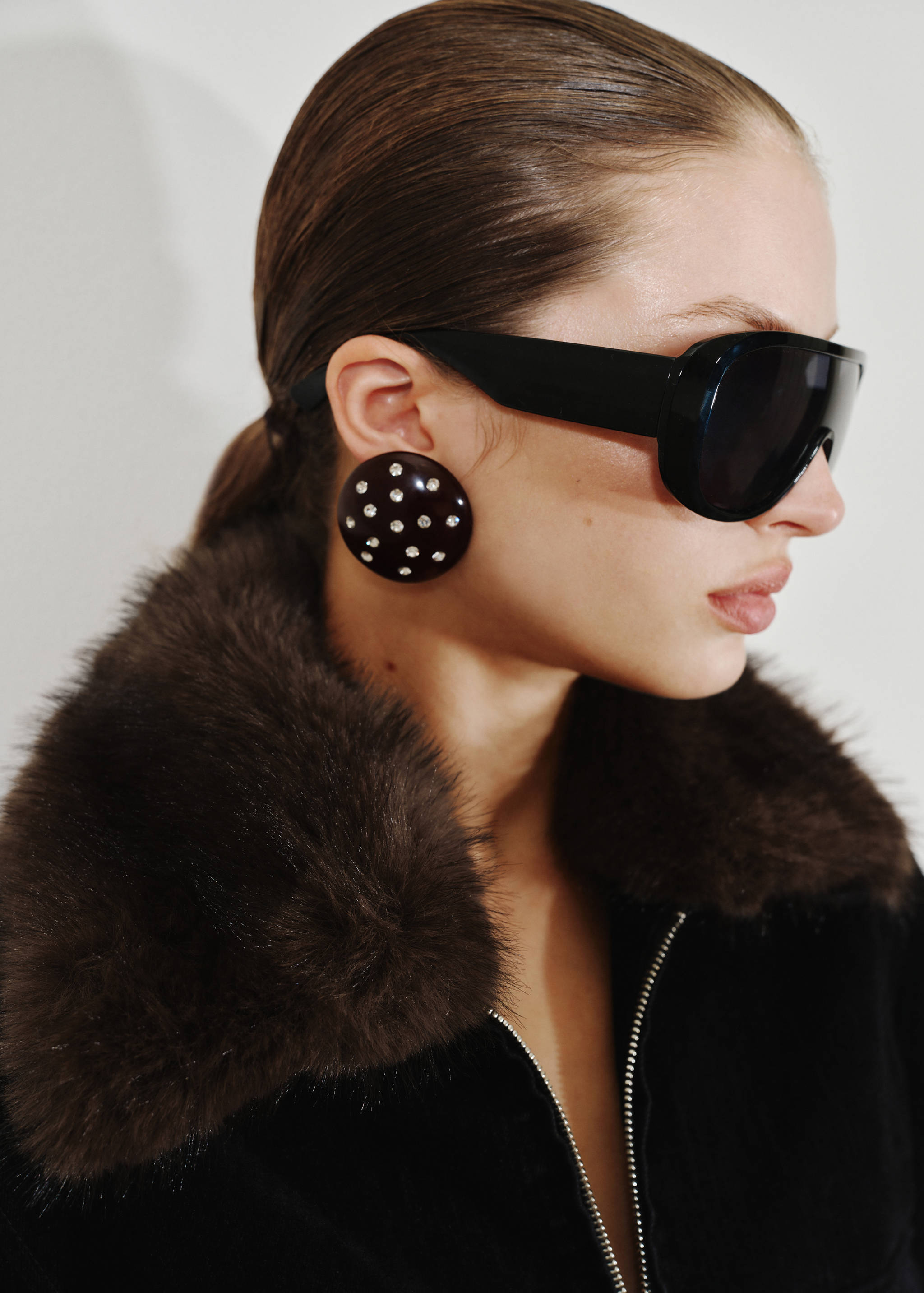 Round crystal appliqué earrings - General plane