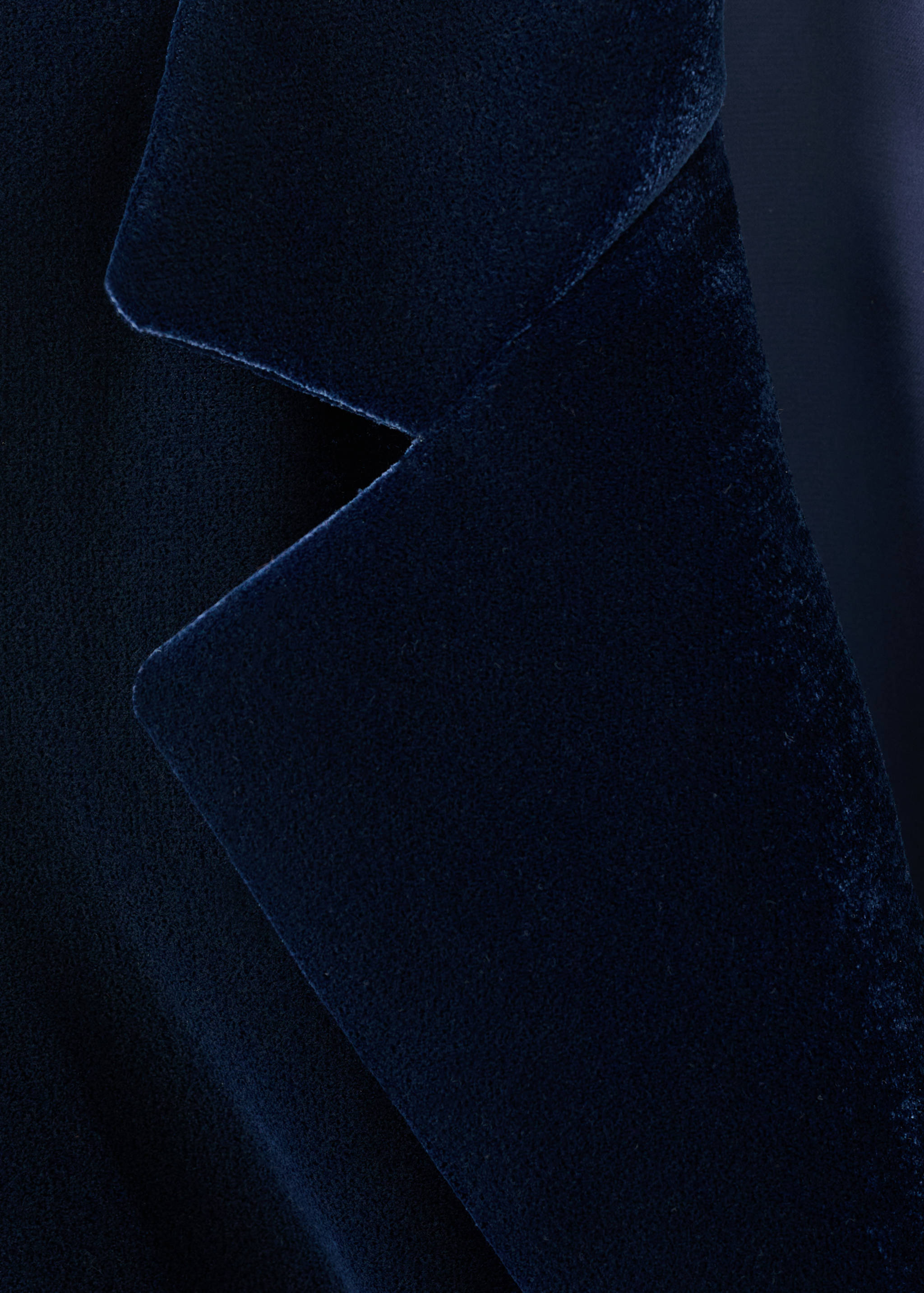 Double-breasted velvet jacket - Details of the article 0
