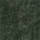 Couleur Vert
