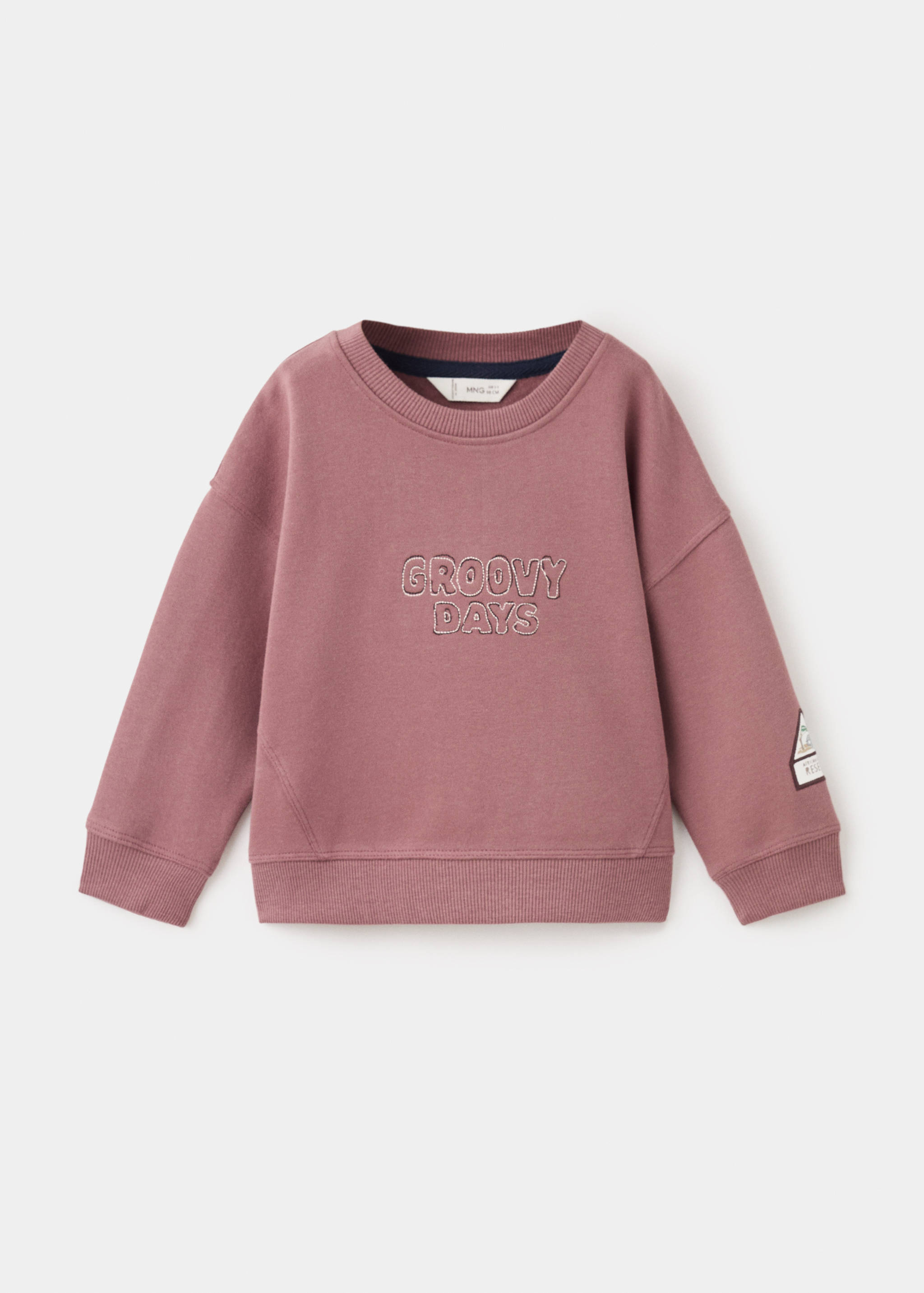 Embroidered cotton sweatshirt - Article without model
