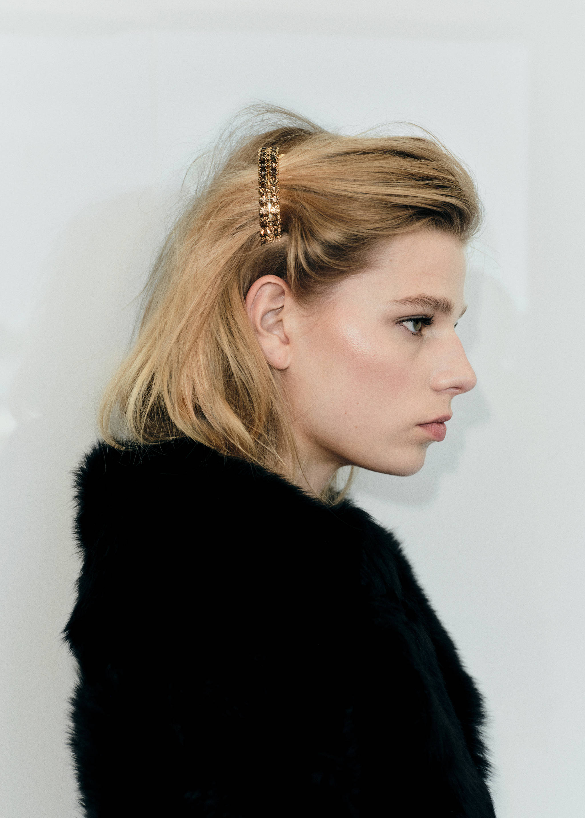 Crystal hair barrette - General plane