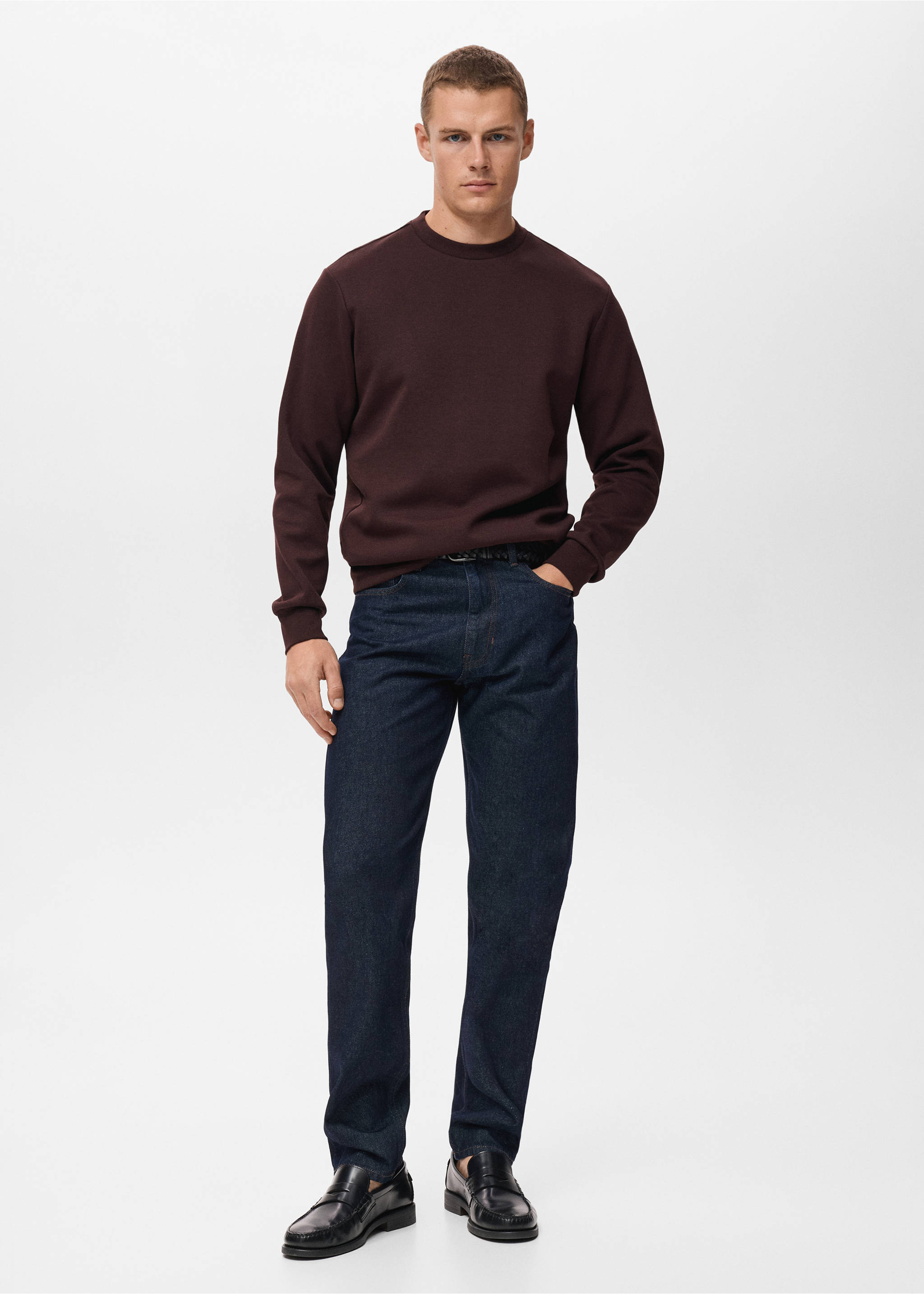Regular-fit cotton sweatshirt - General plane, Wine. Ref: 17084425-00.