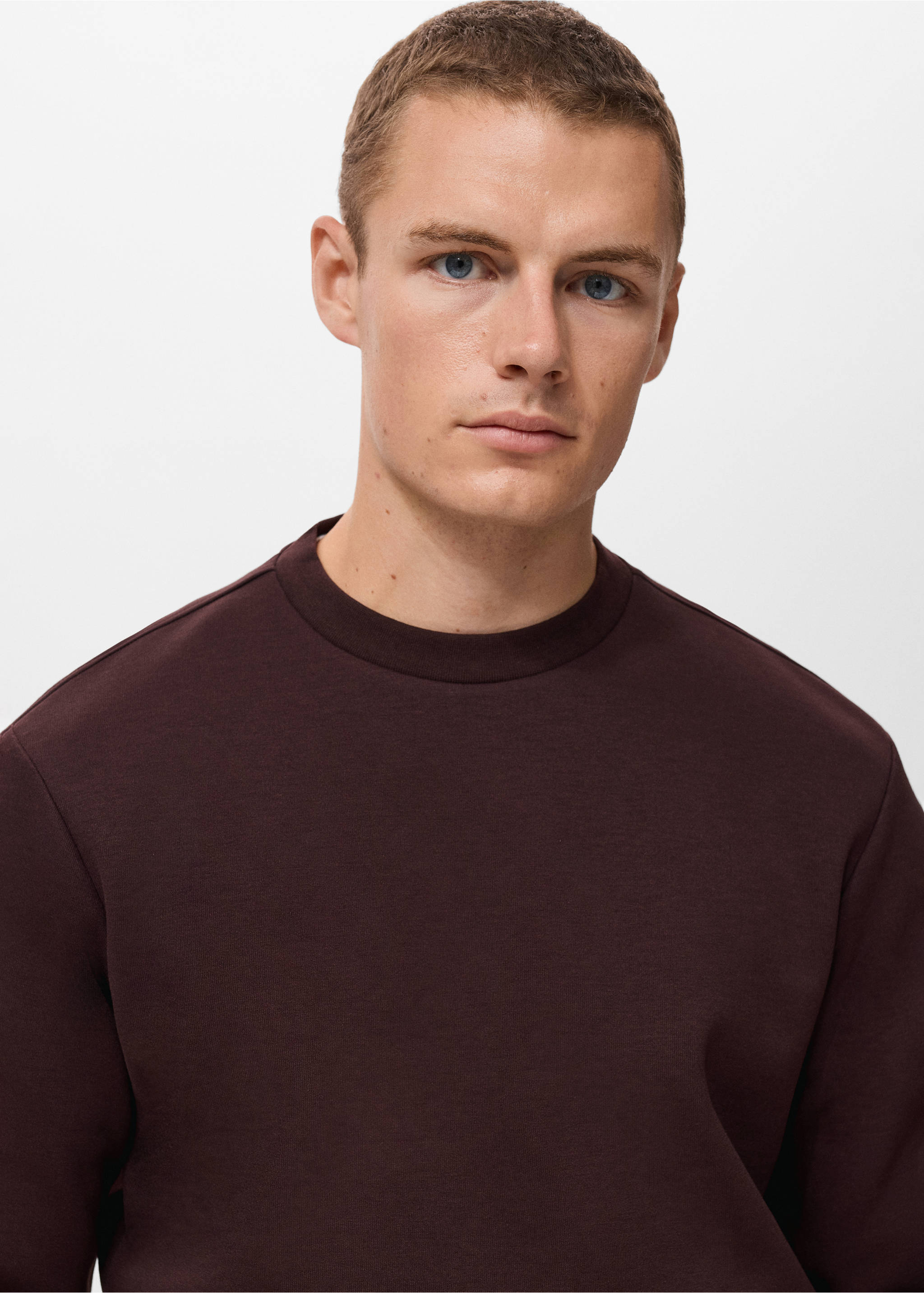 Regular-fit cotton sweatshirt - Details of the article 1, Wine. Ref: 17084425-00.