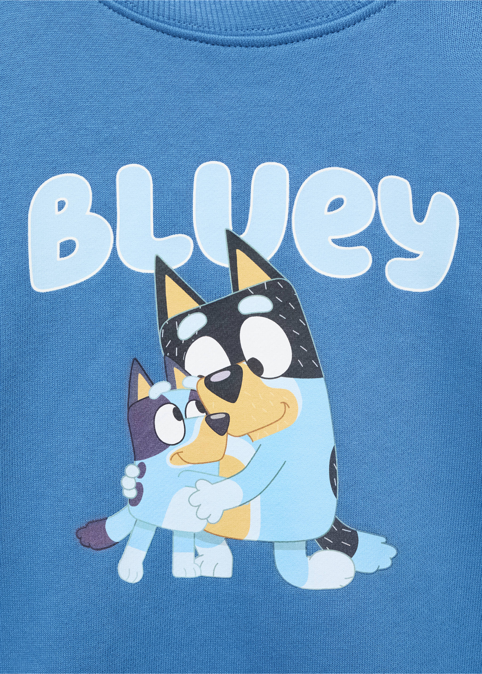 Bluey-print sweatshirt - Details of the article 8, Vibrant blue. Ref: 17091231-00.