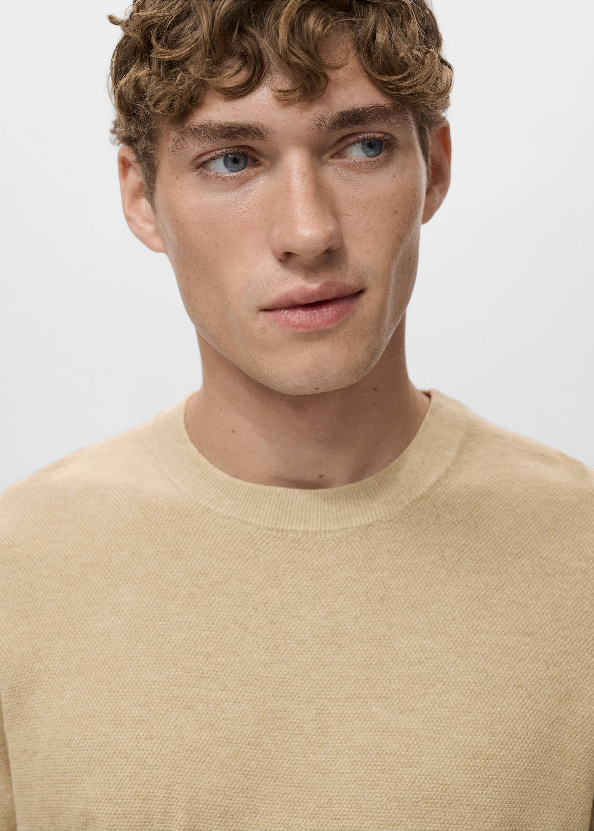 Fine-knit sweater - Details of the article 1, Beige. Ref: 17091244-00.