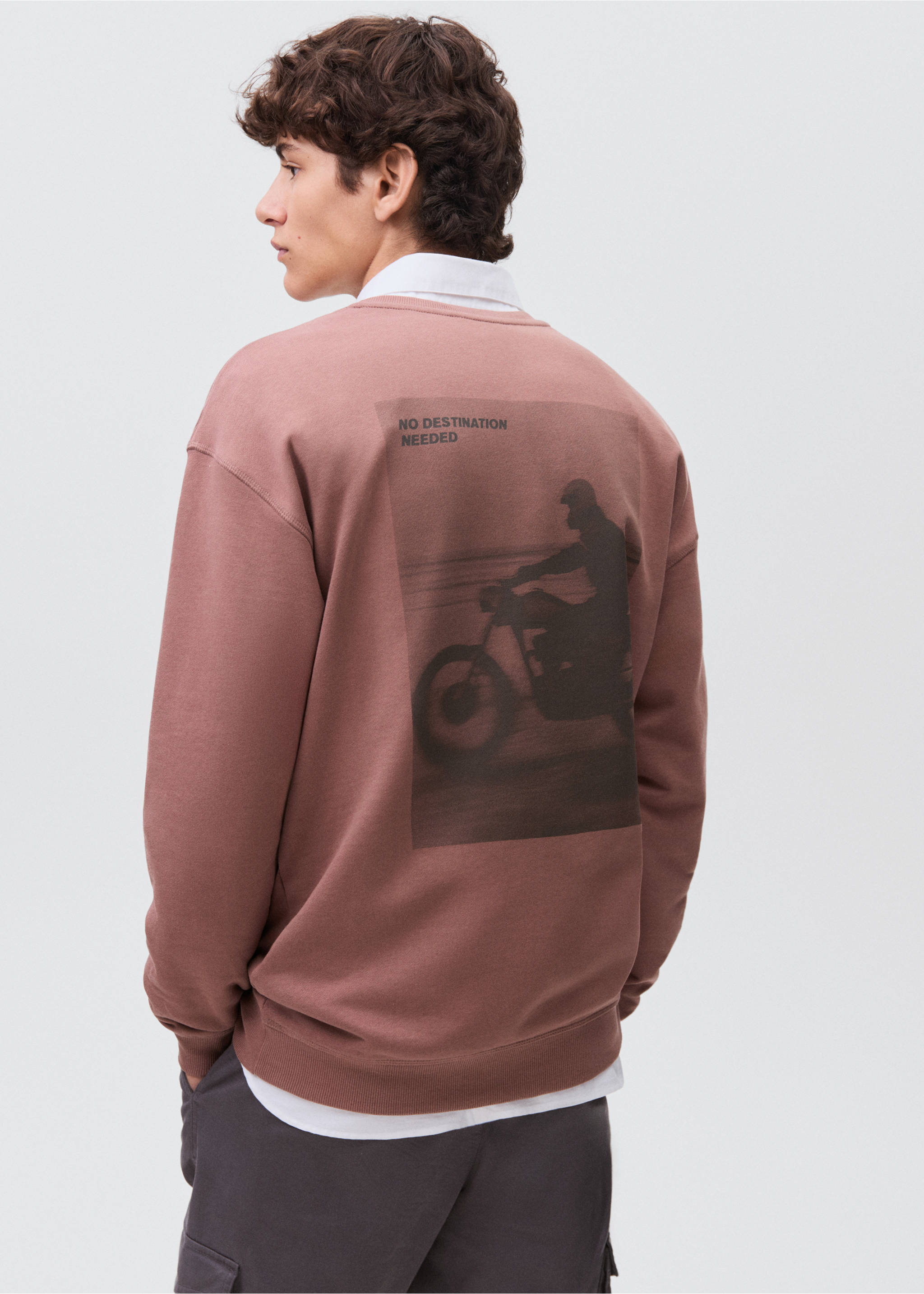 Printed cotton sweatshirt - Reverse of the article, Maroon. Ref: 17095800-00.