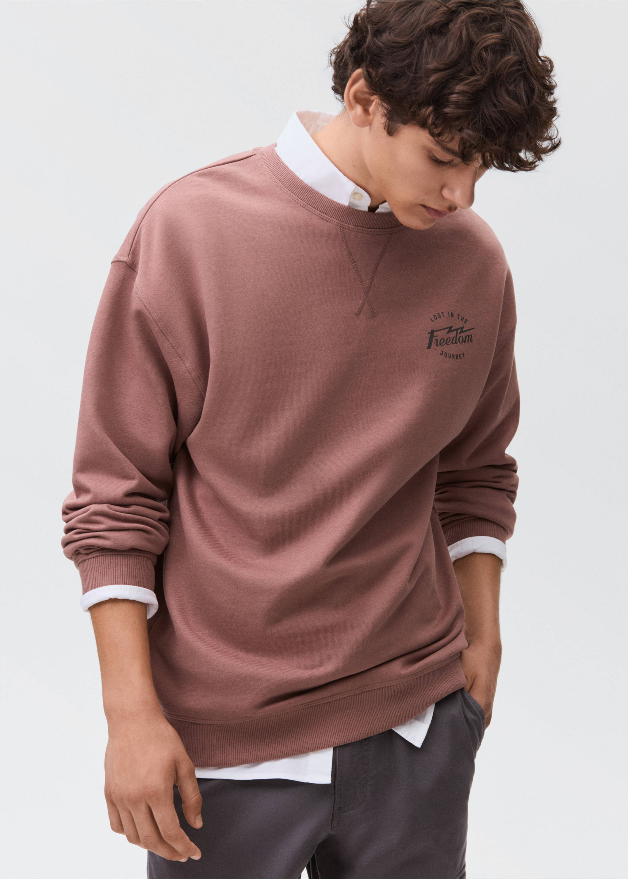 Printed cotton sweatshirt - Details of the article 2, Maroon. Ref: 17095800-00.