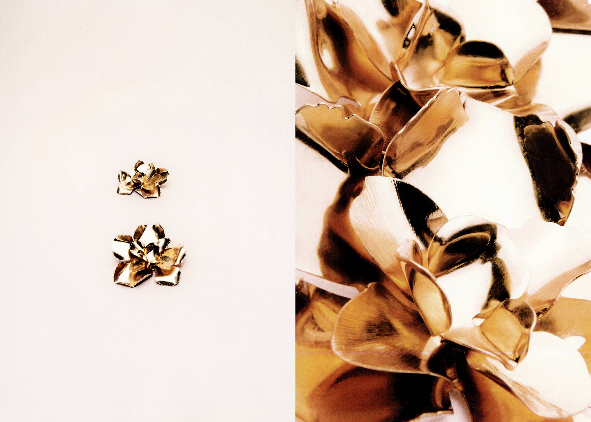 Pendientes diseño flor - Plano panorámico